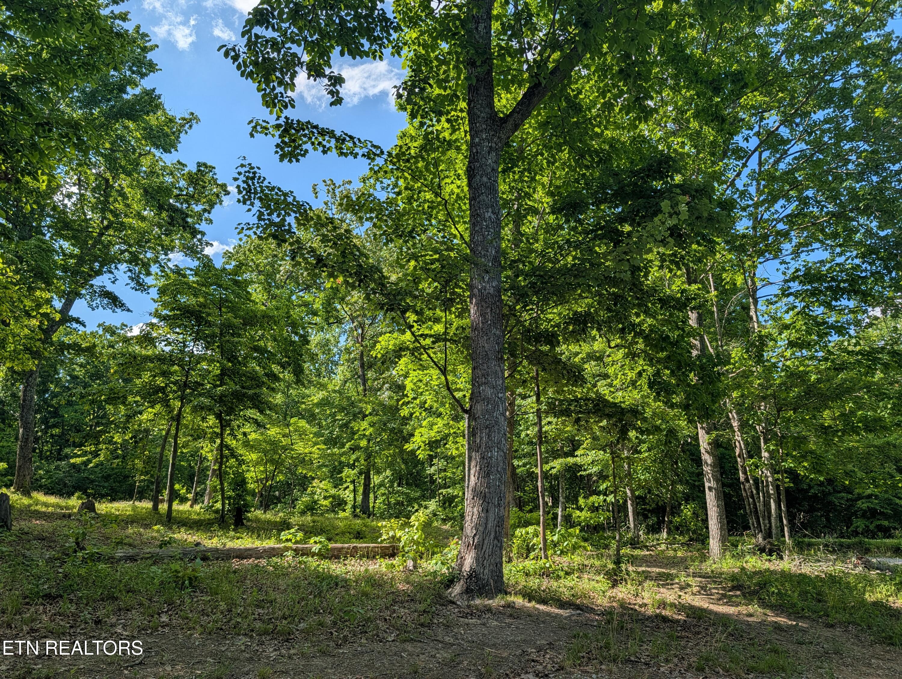 Lot 94/95 Red Oak Lane Spring City TN 37381