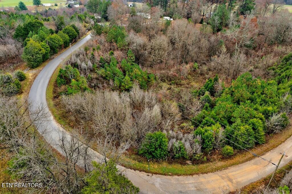 0 N Center Point Acres Walling TN 38587