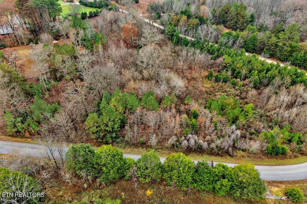 0 N Center Point Acres Walling TN 38587