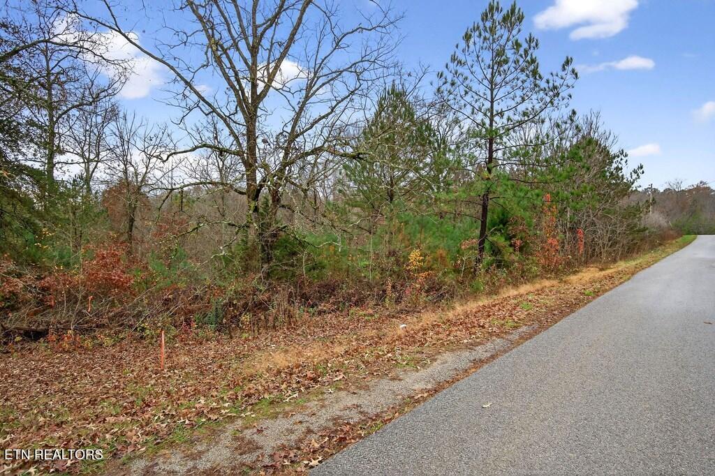 0 N Center Point Acres Walling TN 38587