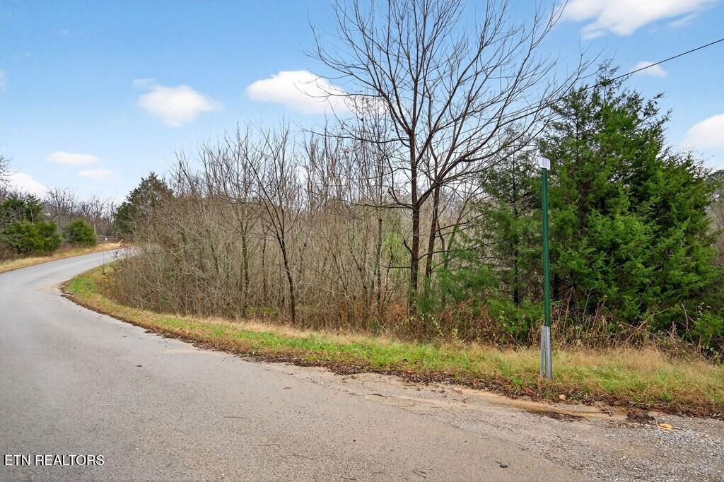 0 N Center Point Acres Walling TN 38587