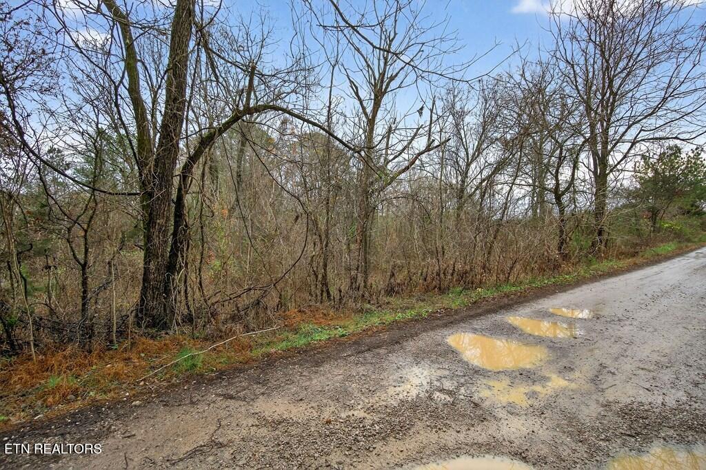 0 N Center Point Acres Walling TN 38587