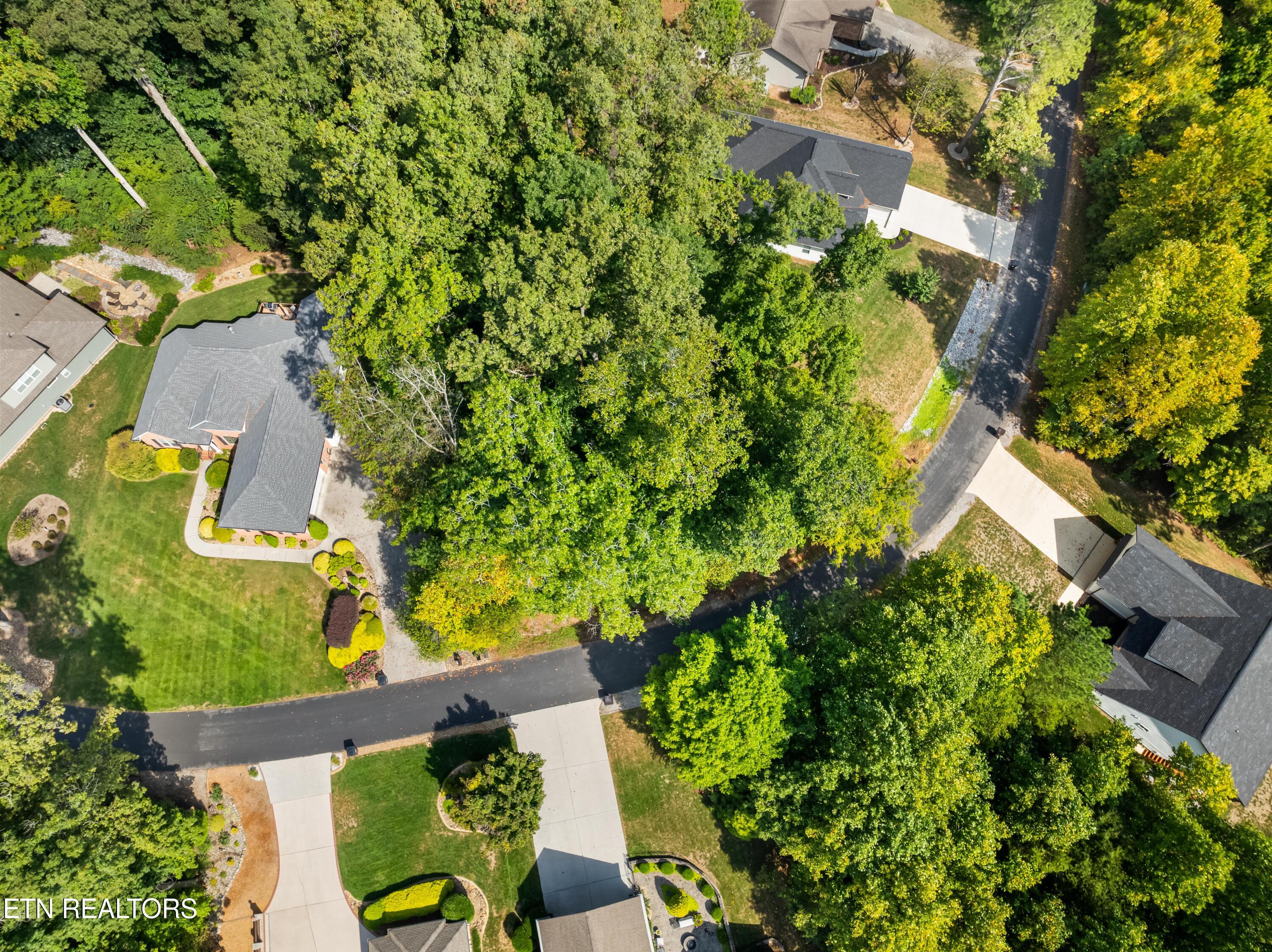 252 Mialaquo Circle Loudon TN 37774