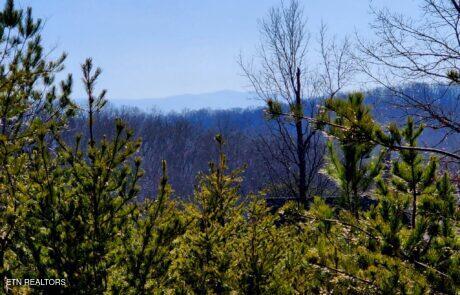 194 Forest Ridge Lane Greenback TN 37742