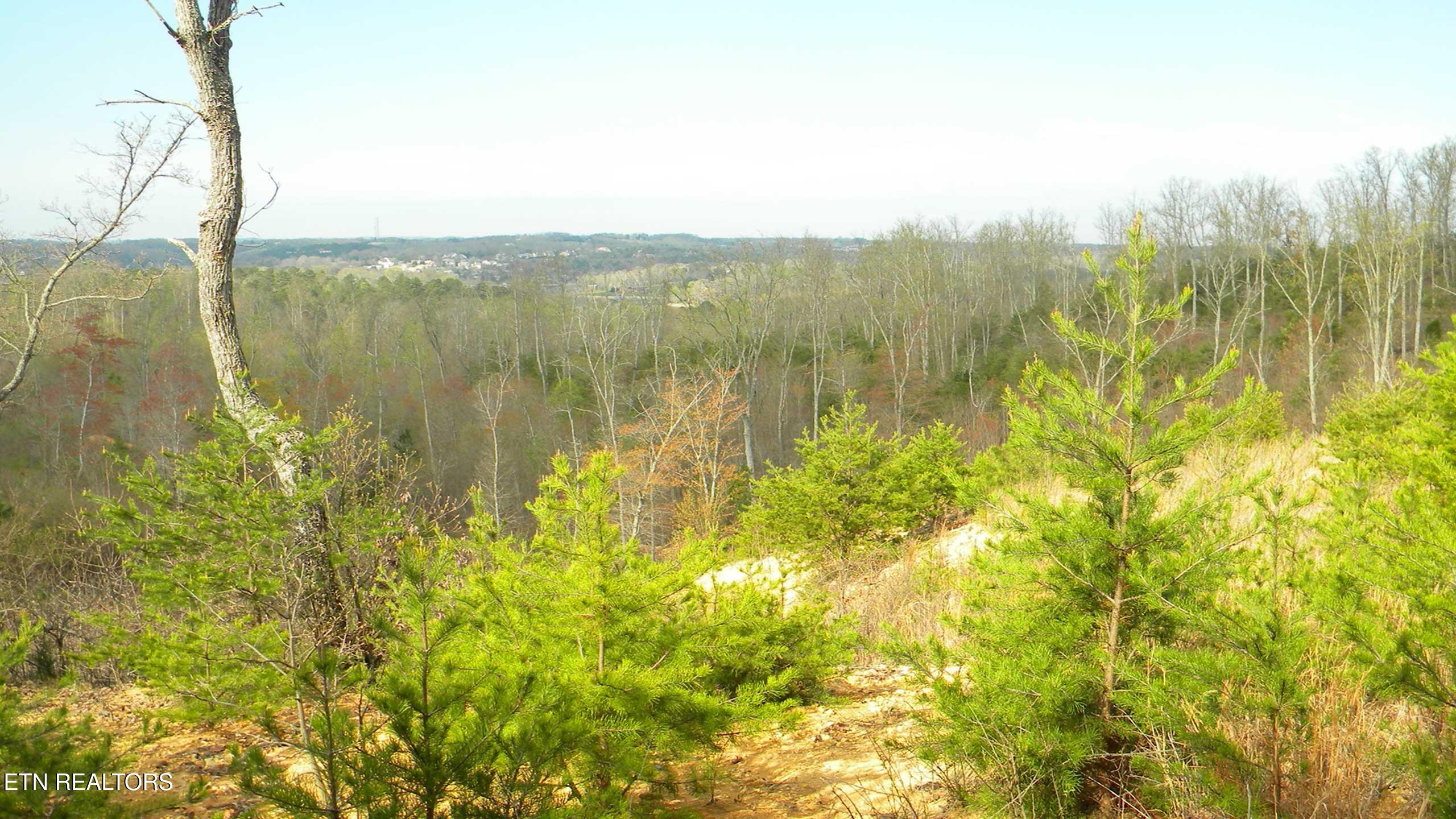 194 Forest Ridge Lane Greenback TN 37742