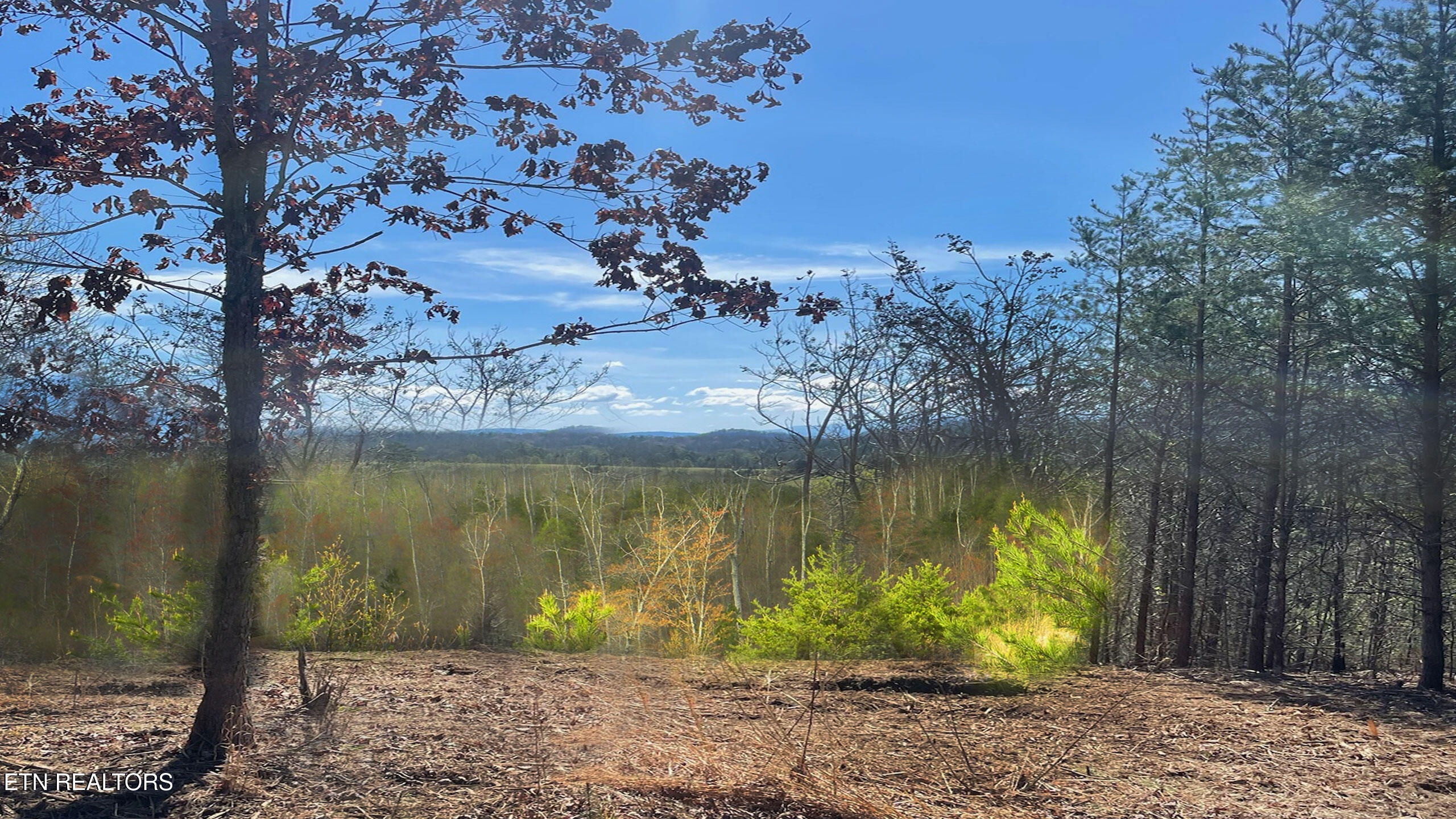 194 Forest Ridge Lane Greenback TN 37742