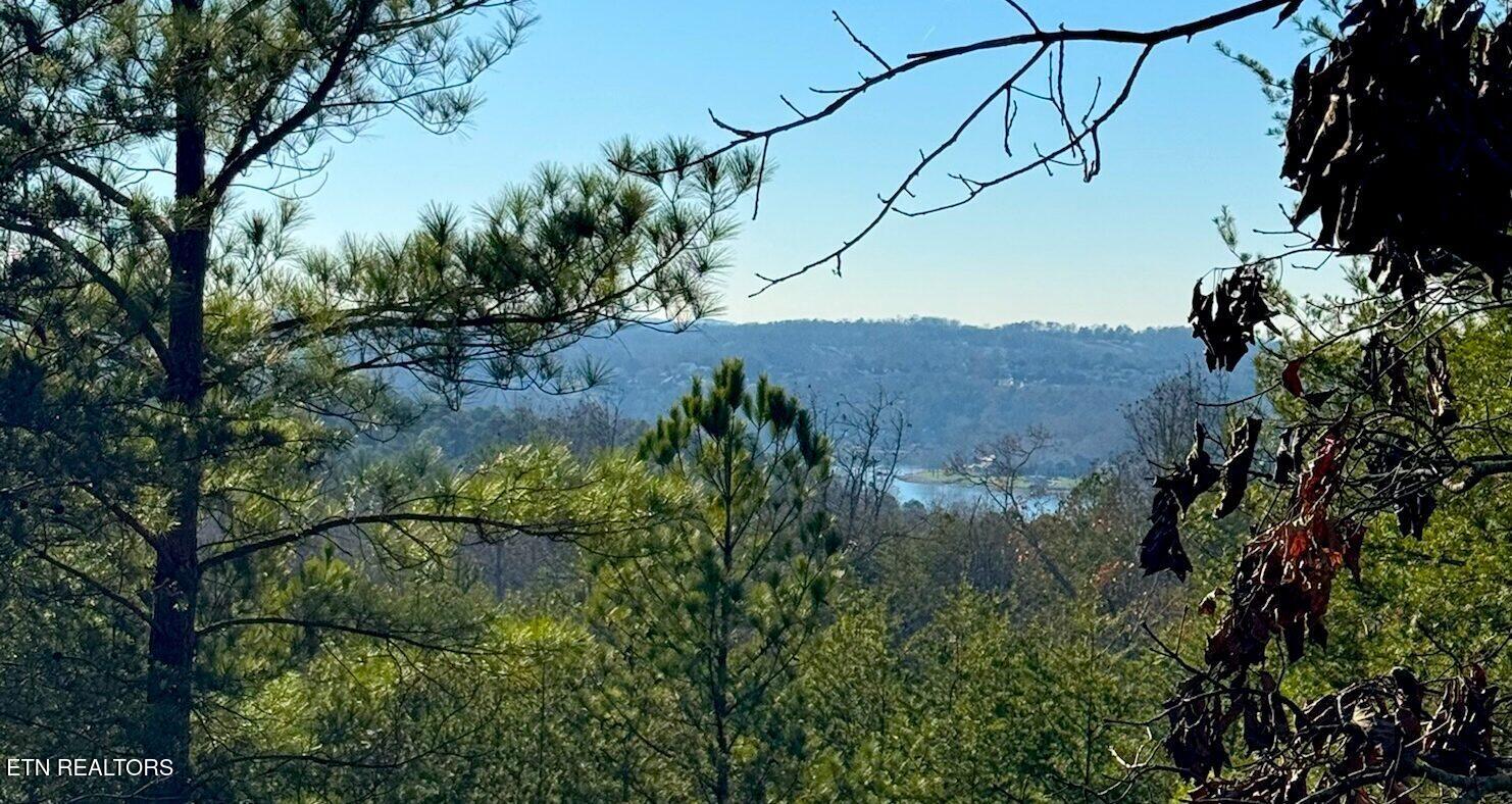 194 Forest Ridge Lane Greenback TN 37742