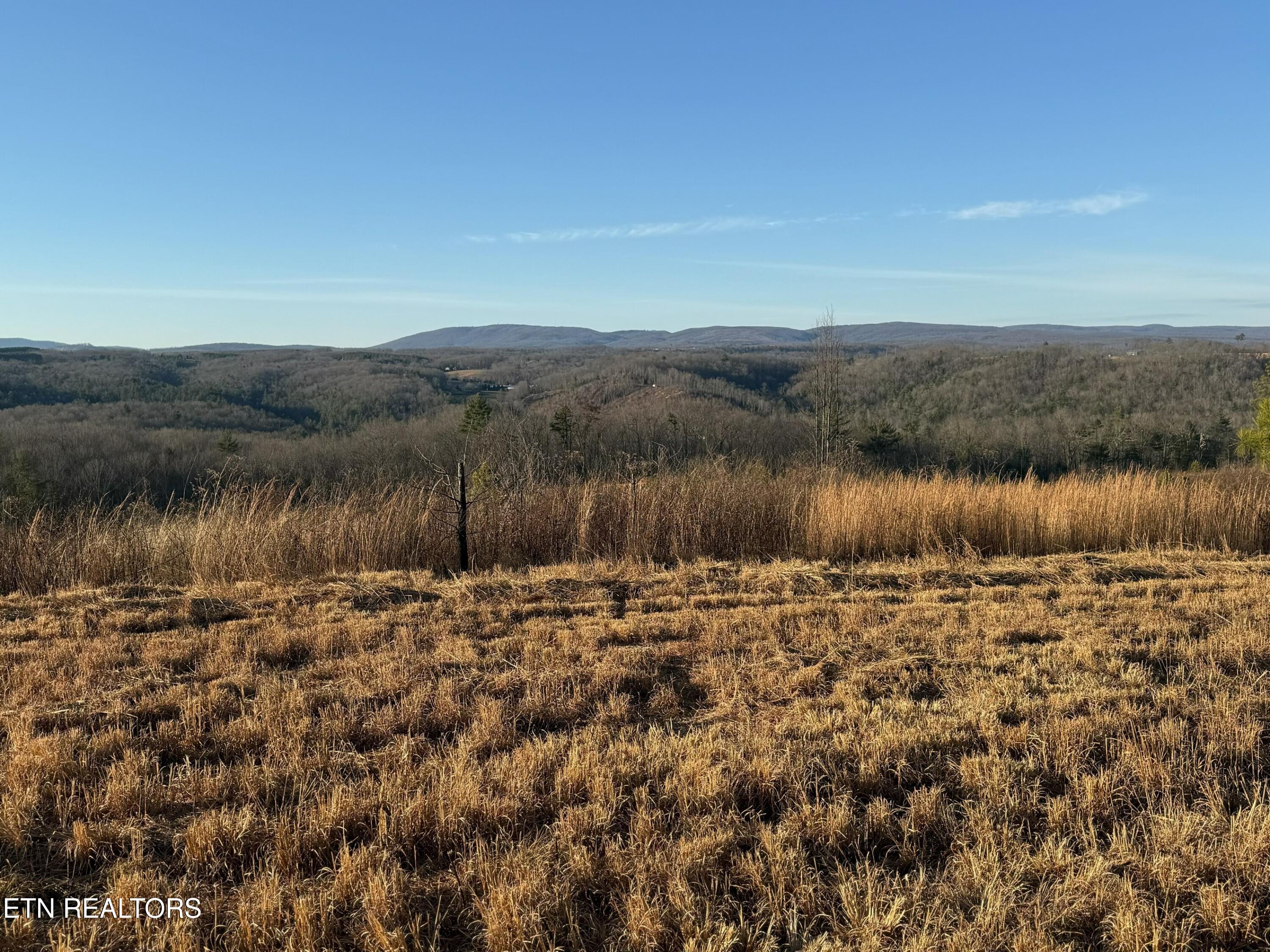 Possum Trot Road - Tract 1 Grandview TN 37337