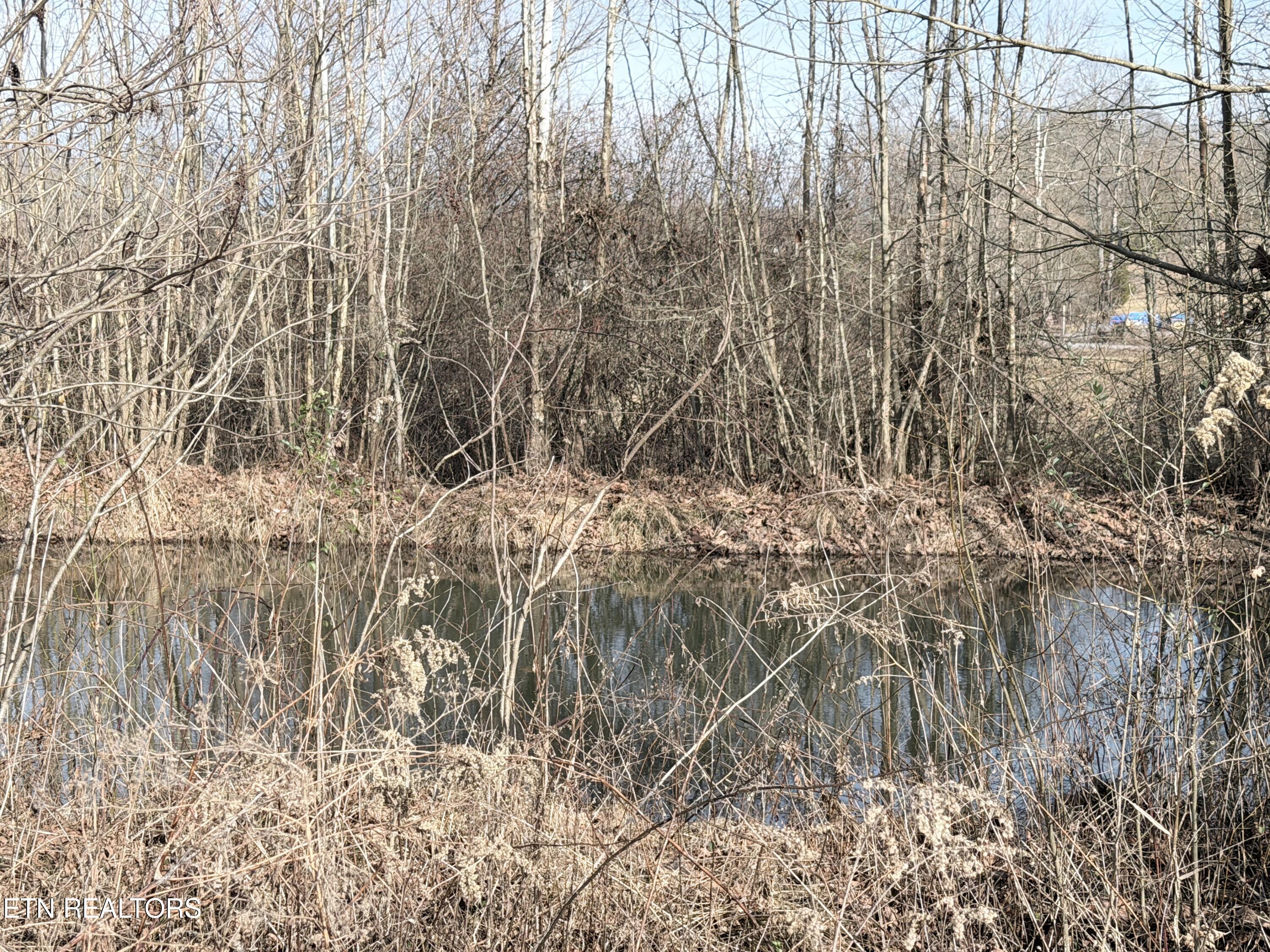 County Road 189 Decatur TN 37322