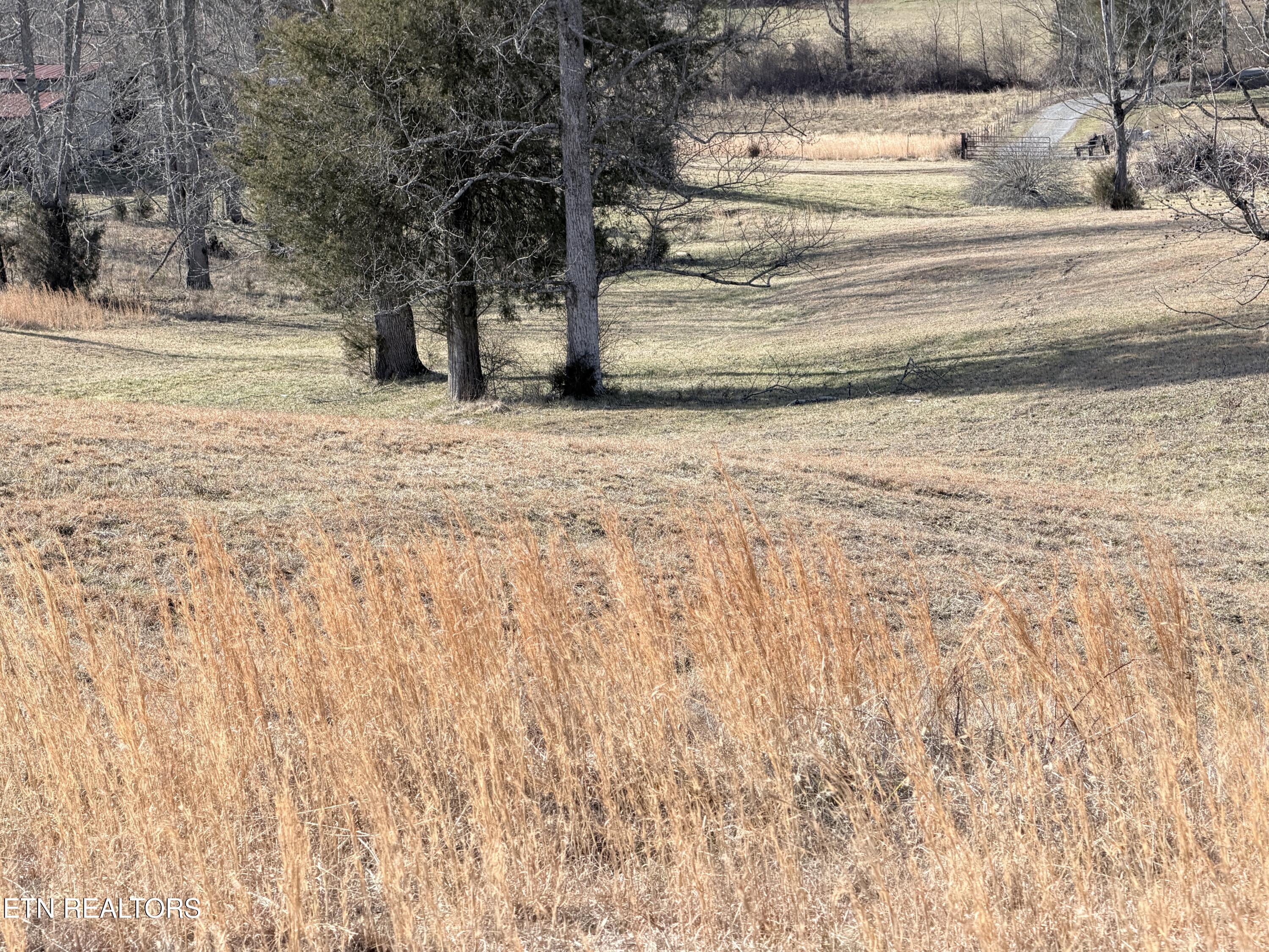 County Road 189 Decatur TN 37322