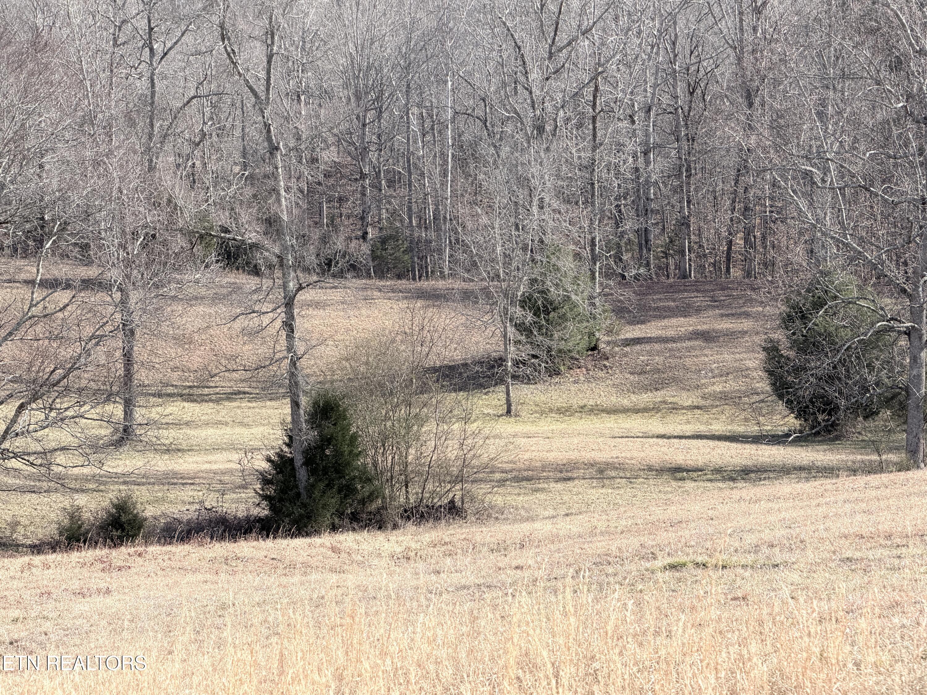 County Road 189 Decatur TN 37322