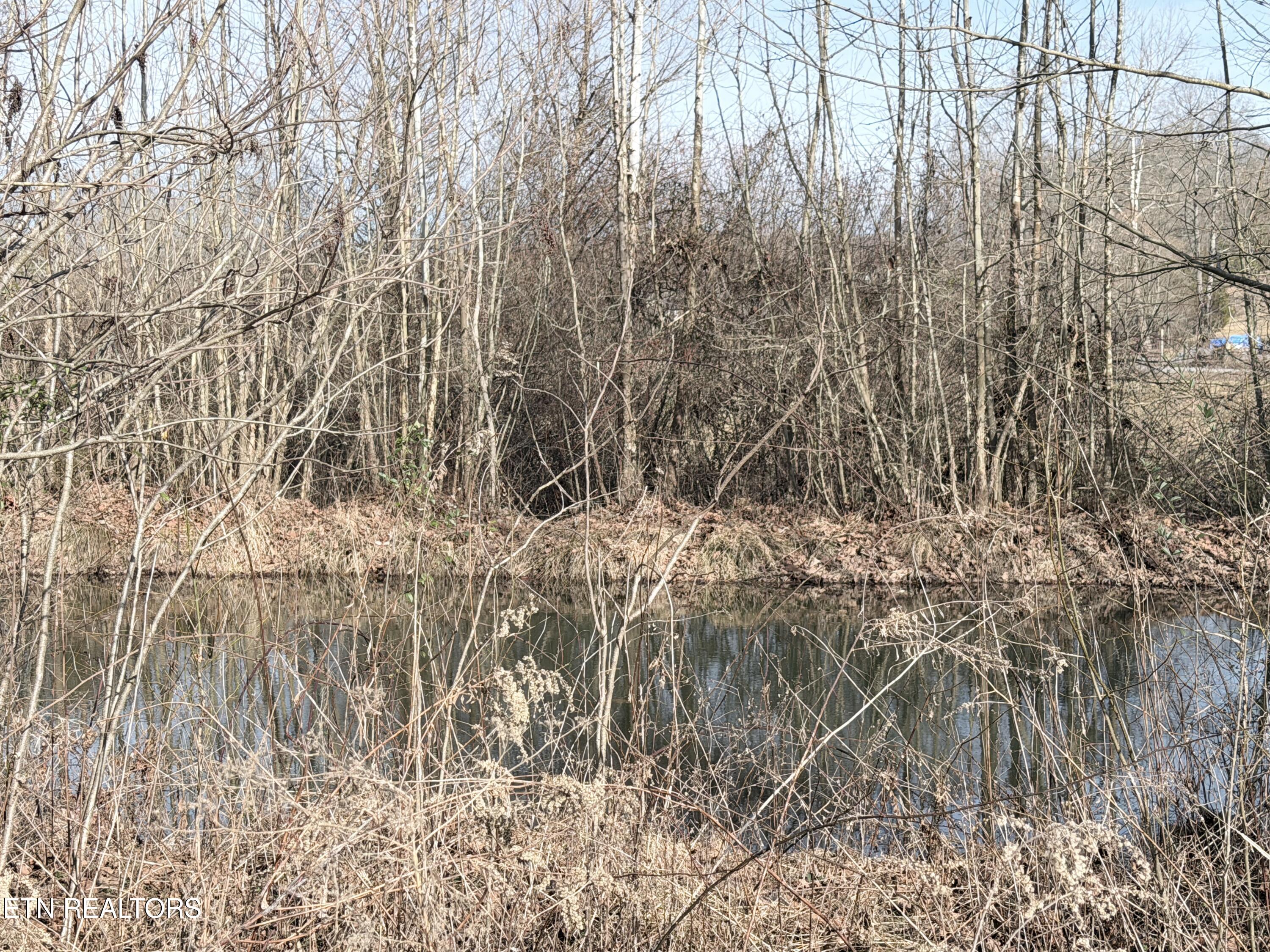 County Road 189 Decatur TN 37322