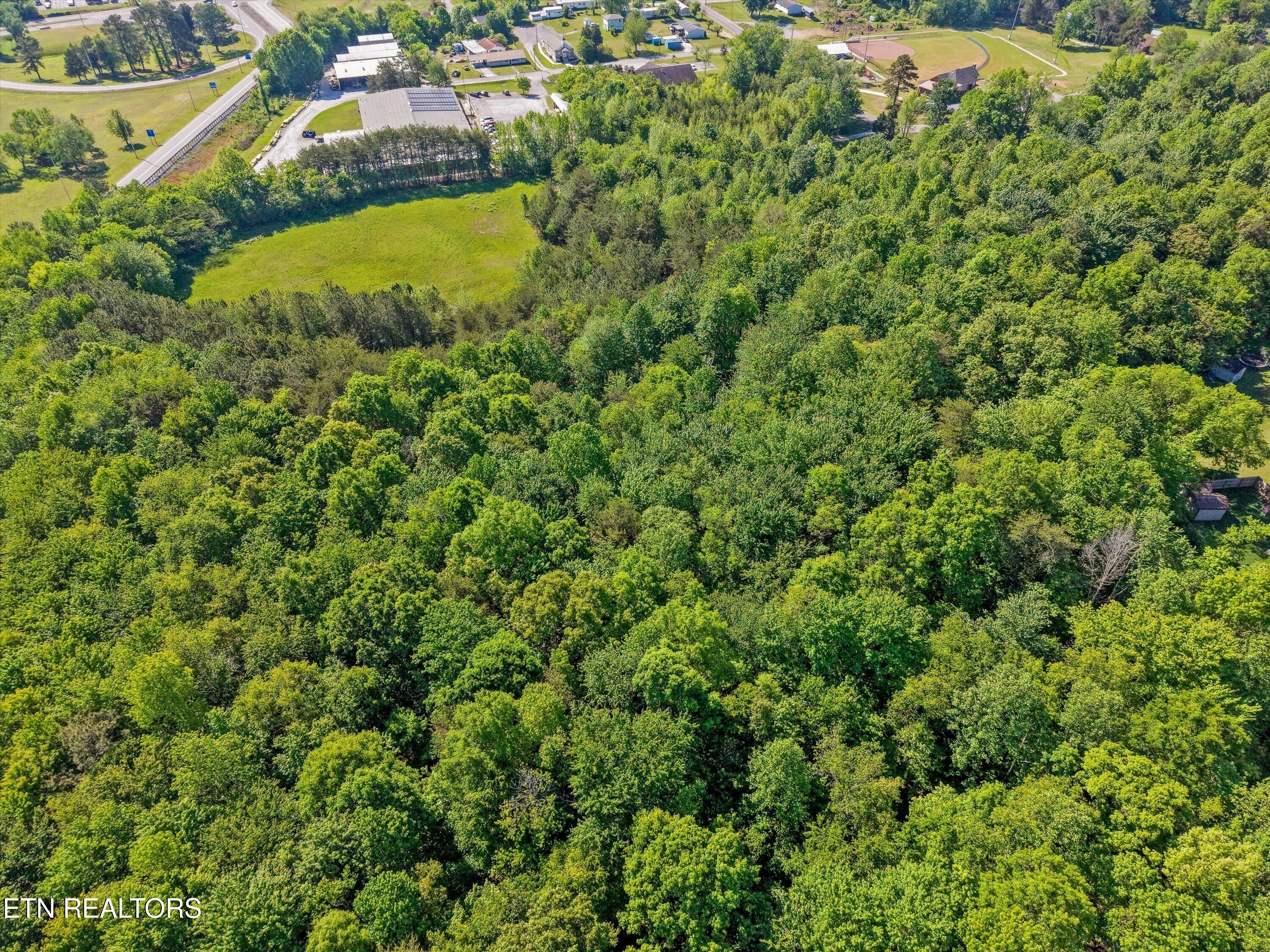 798 Greenwood Street Kingston TN 37763