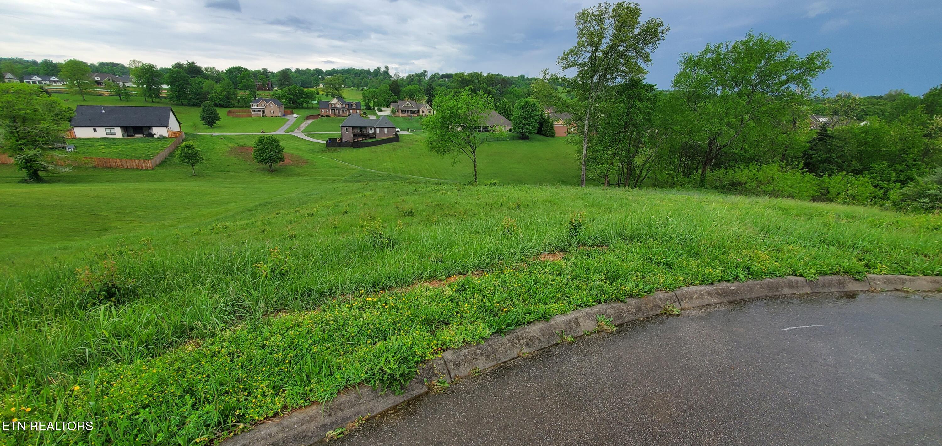 2329 Louisiana Court Seymour TN 37865
