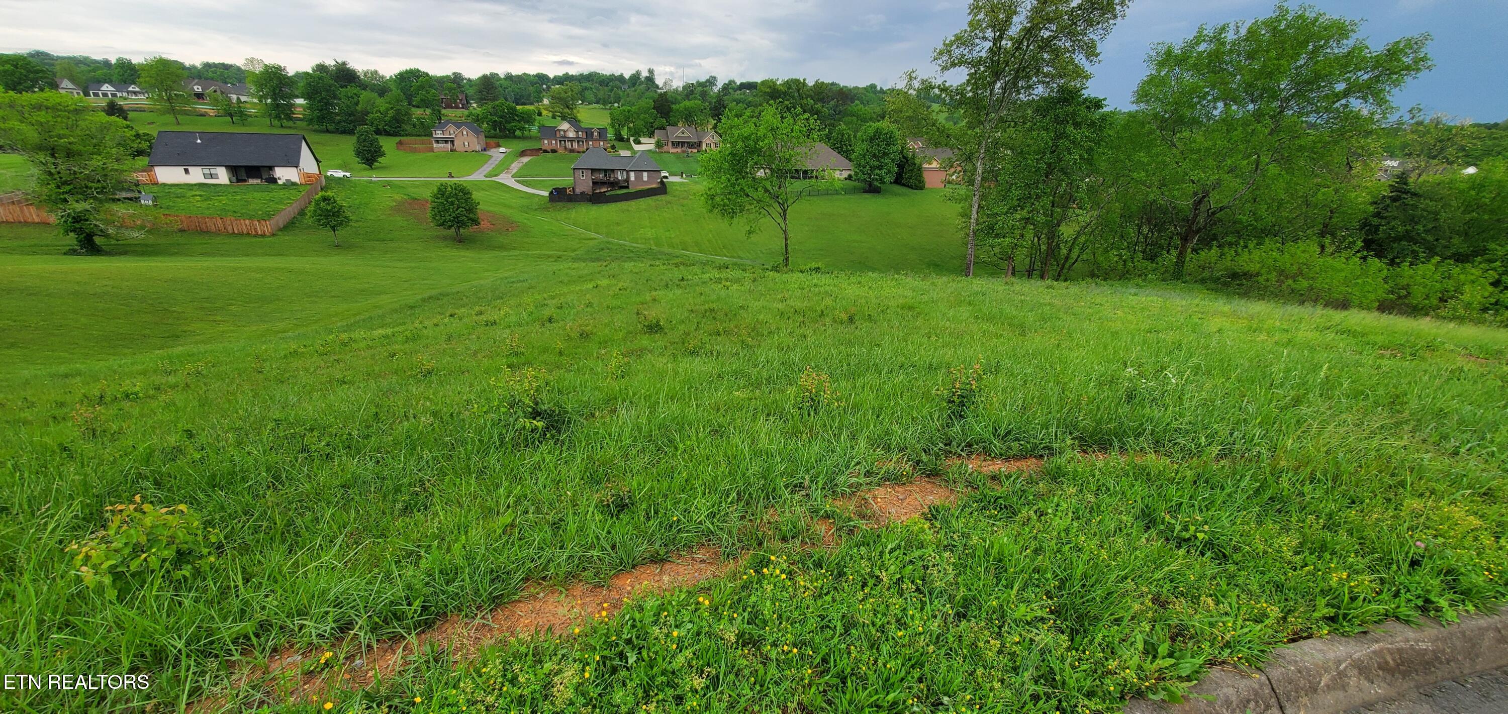 2329 Louisiana Court Seymour TN 37865