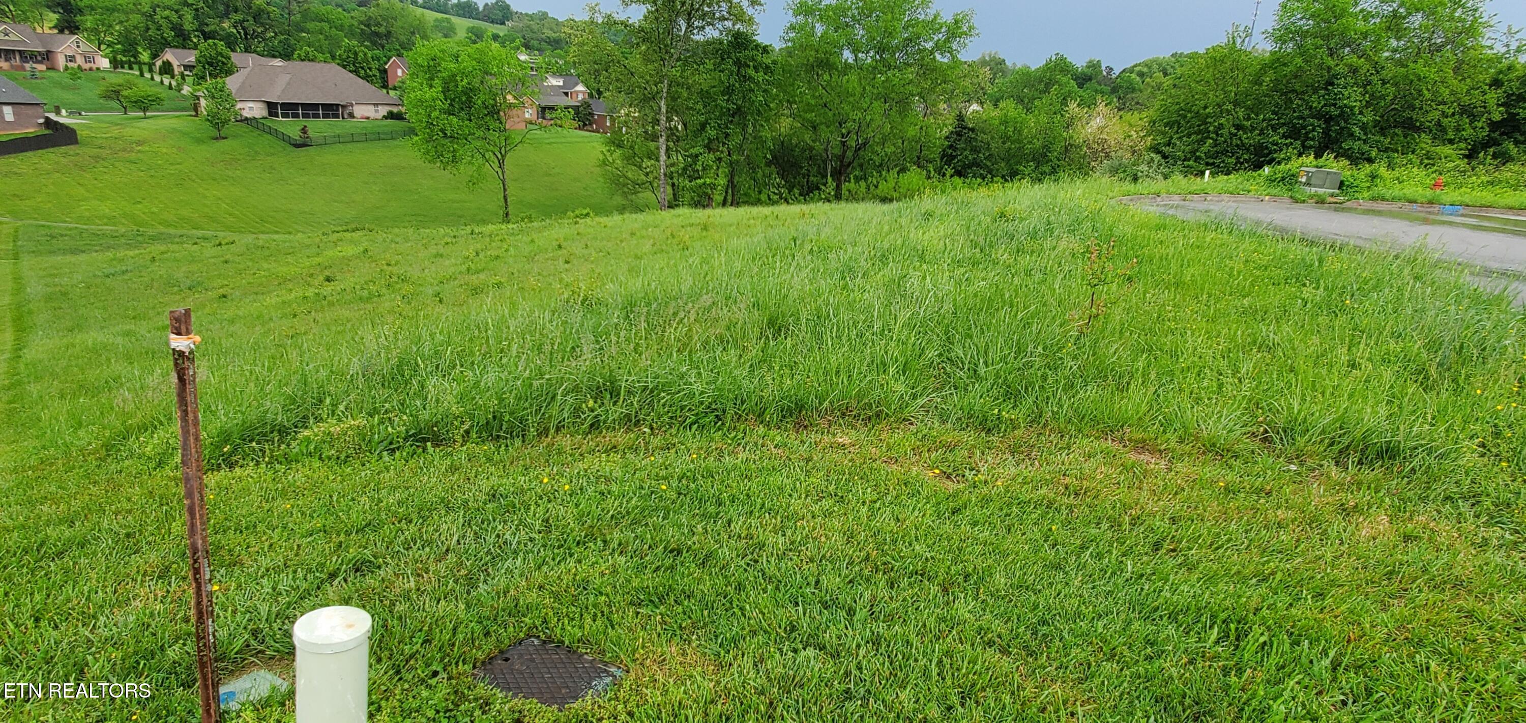 2329 Louisiana Court Seymour TN 37865
