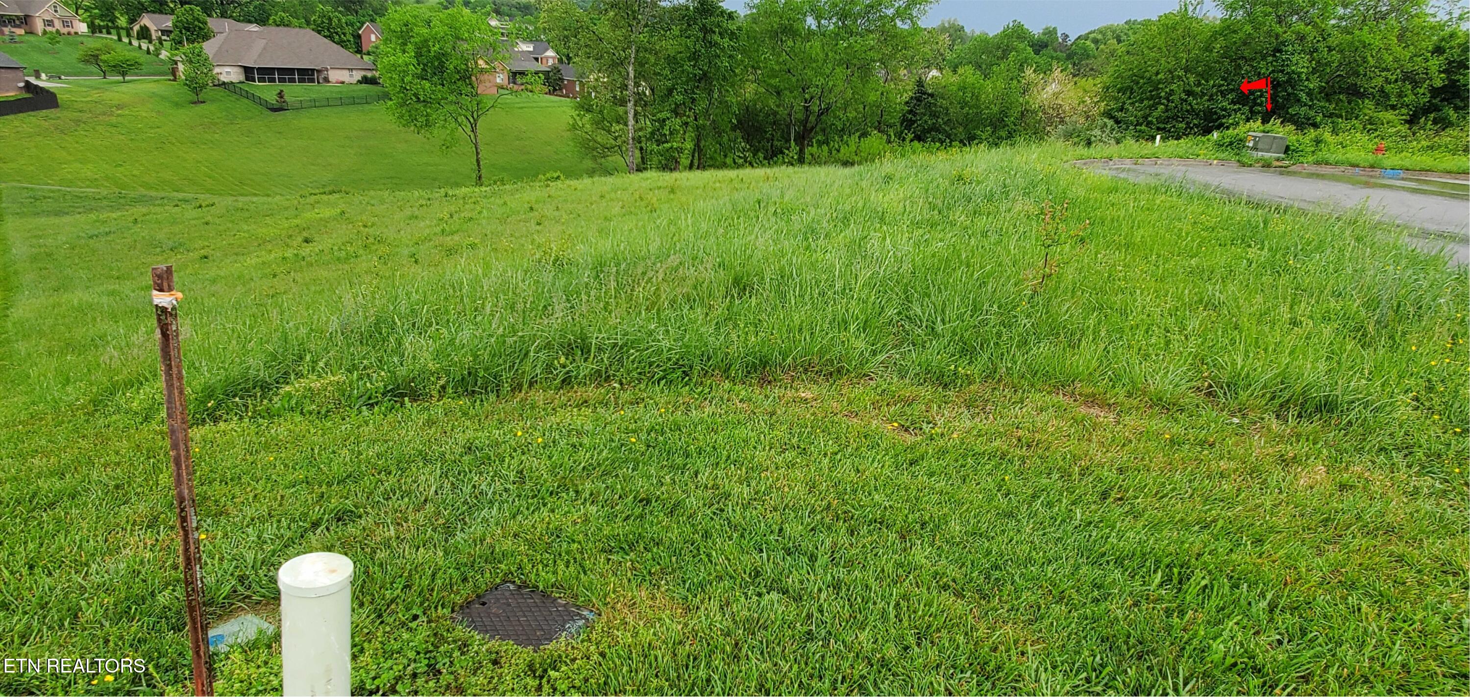 2329 Louisiana Court Seymour TN 37865