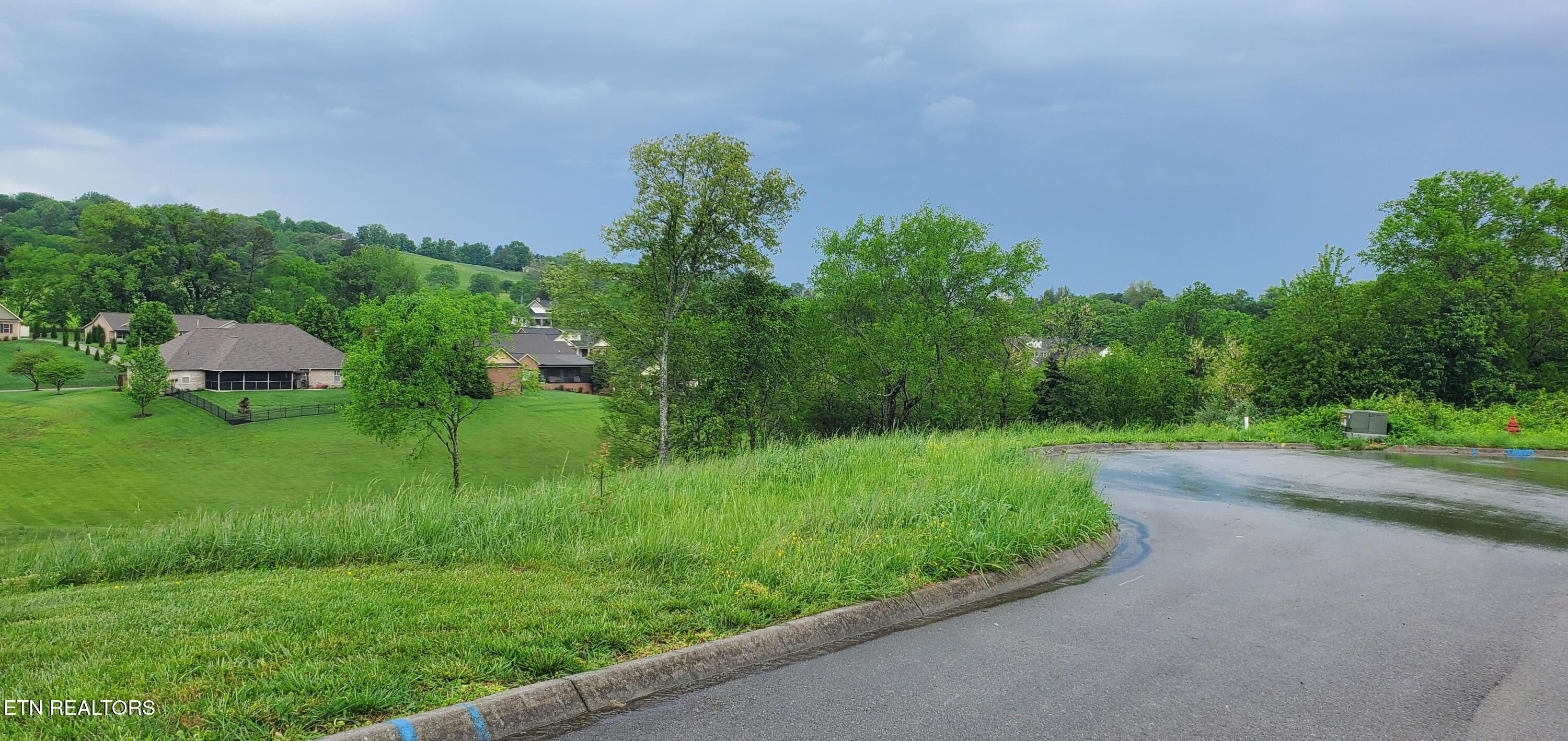 2329 Louisiana Court Seymour TN 37865