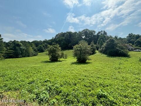 Offutt Road Clinton TN 37716