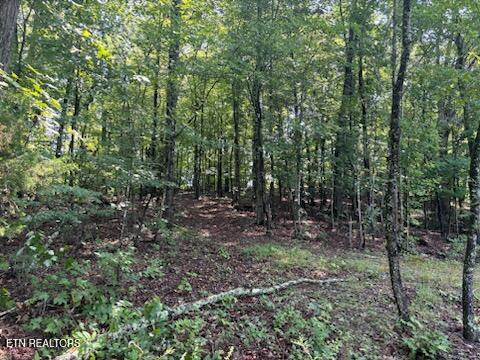 Offutt Road Clinton TN 37716