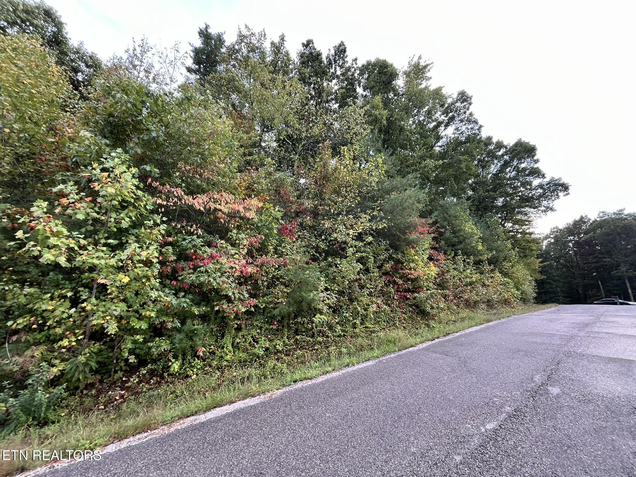 Lot 1 Evergreen Drive Oneida TN 37841