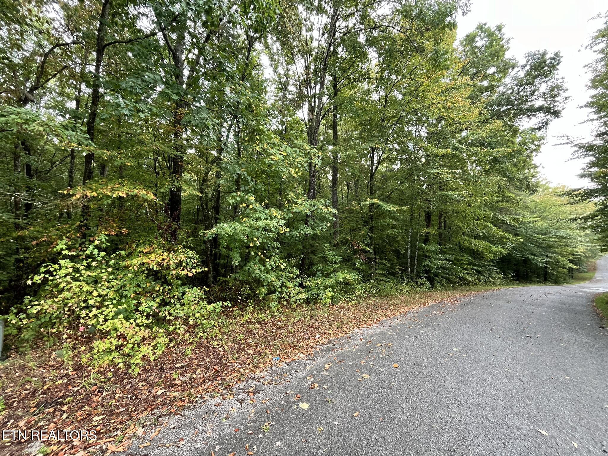 Lot 1 Evergreen Drive Oneida TN 37841