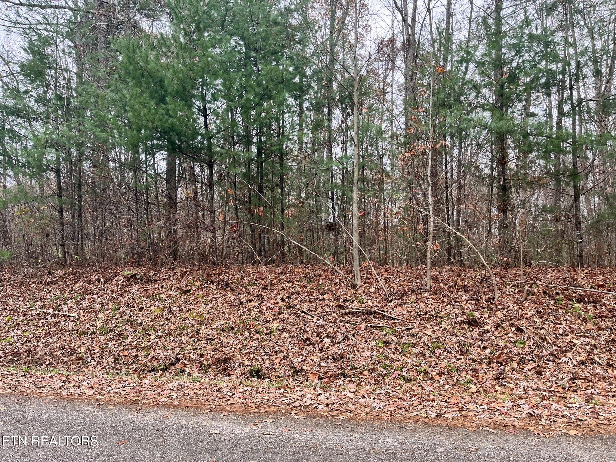 Lot 1 Evergreen Drive Oneida TN 37841