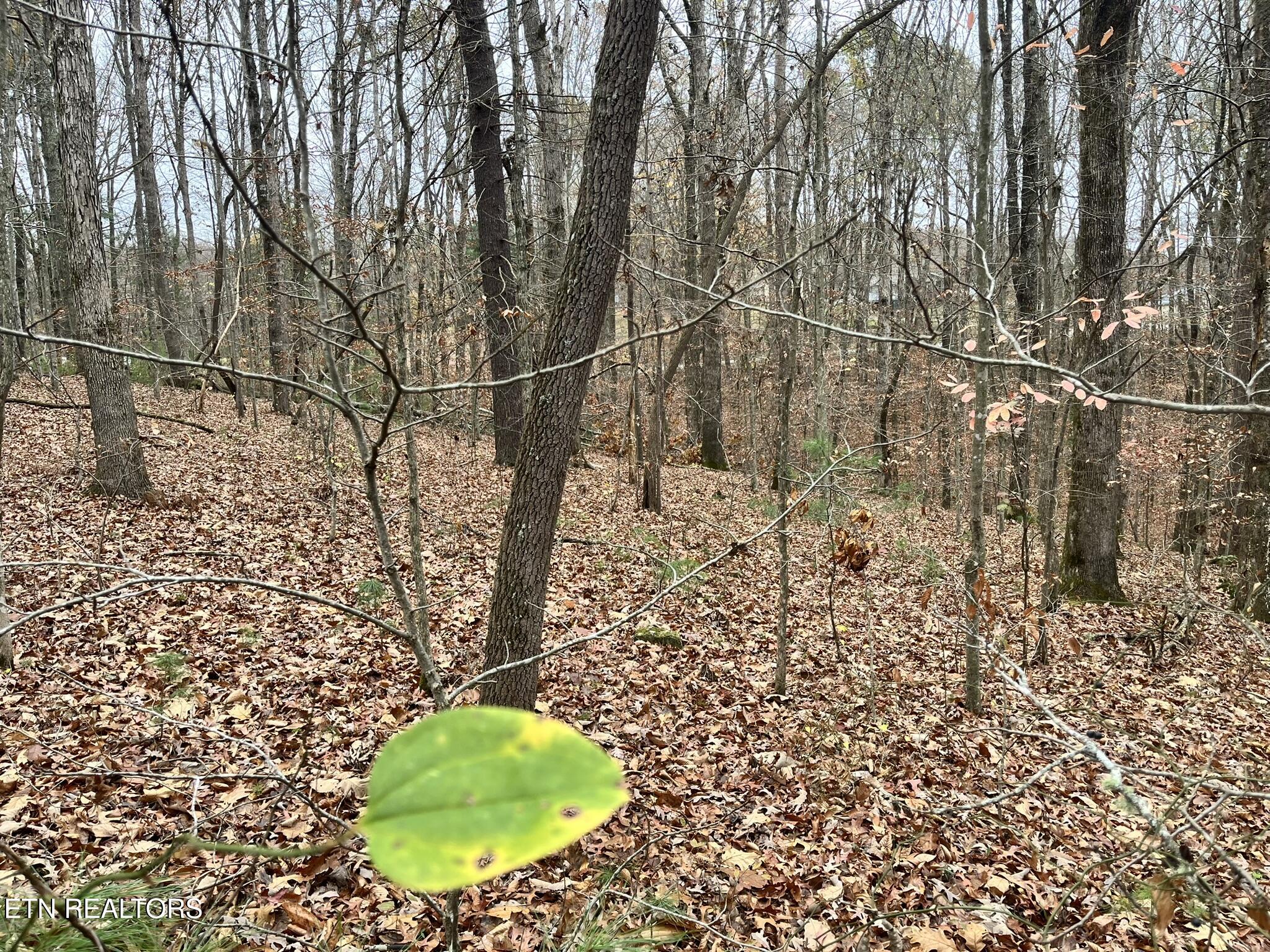 Lot 1 Evergreen Drive Oneida TN 37841