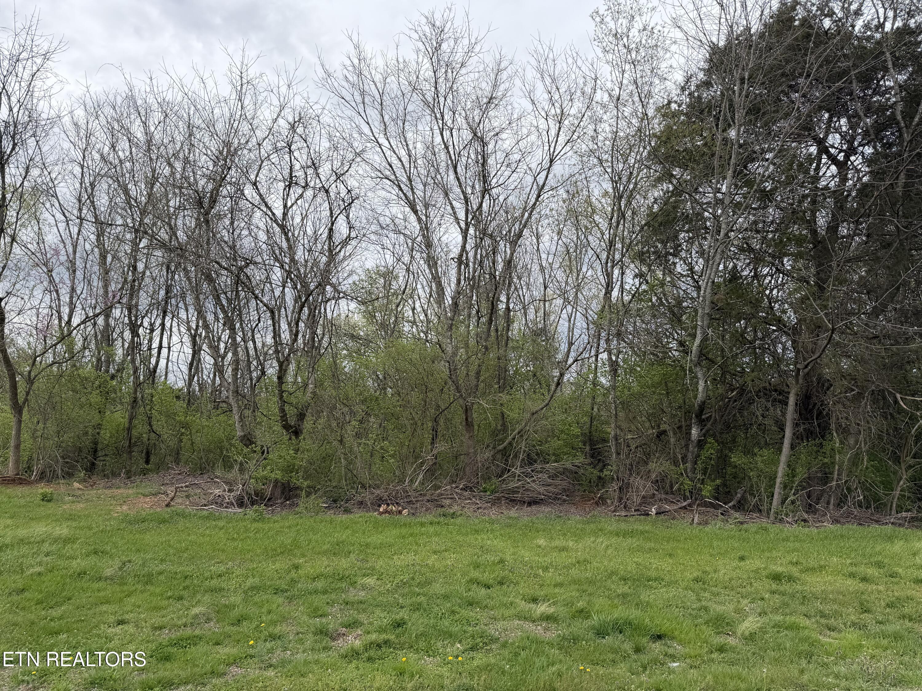 7428 Country Meadow Drive Knoxville TN 37918