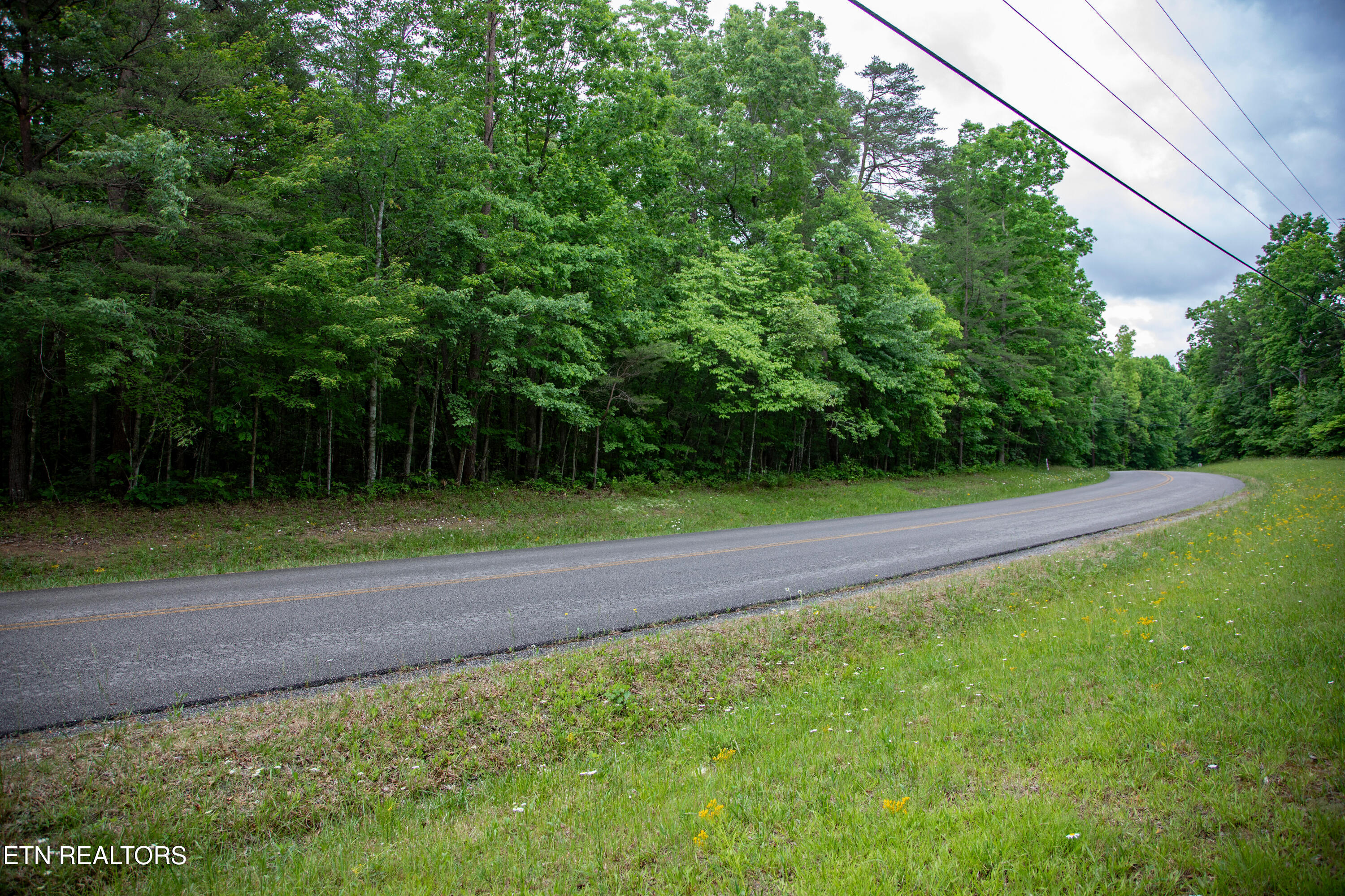0 Lot 6 Cumberland Lakes Drive Monterey TN 38574