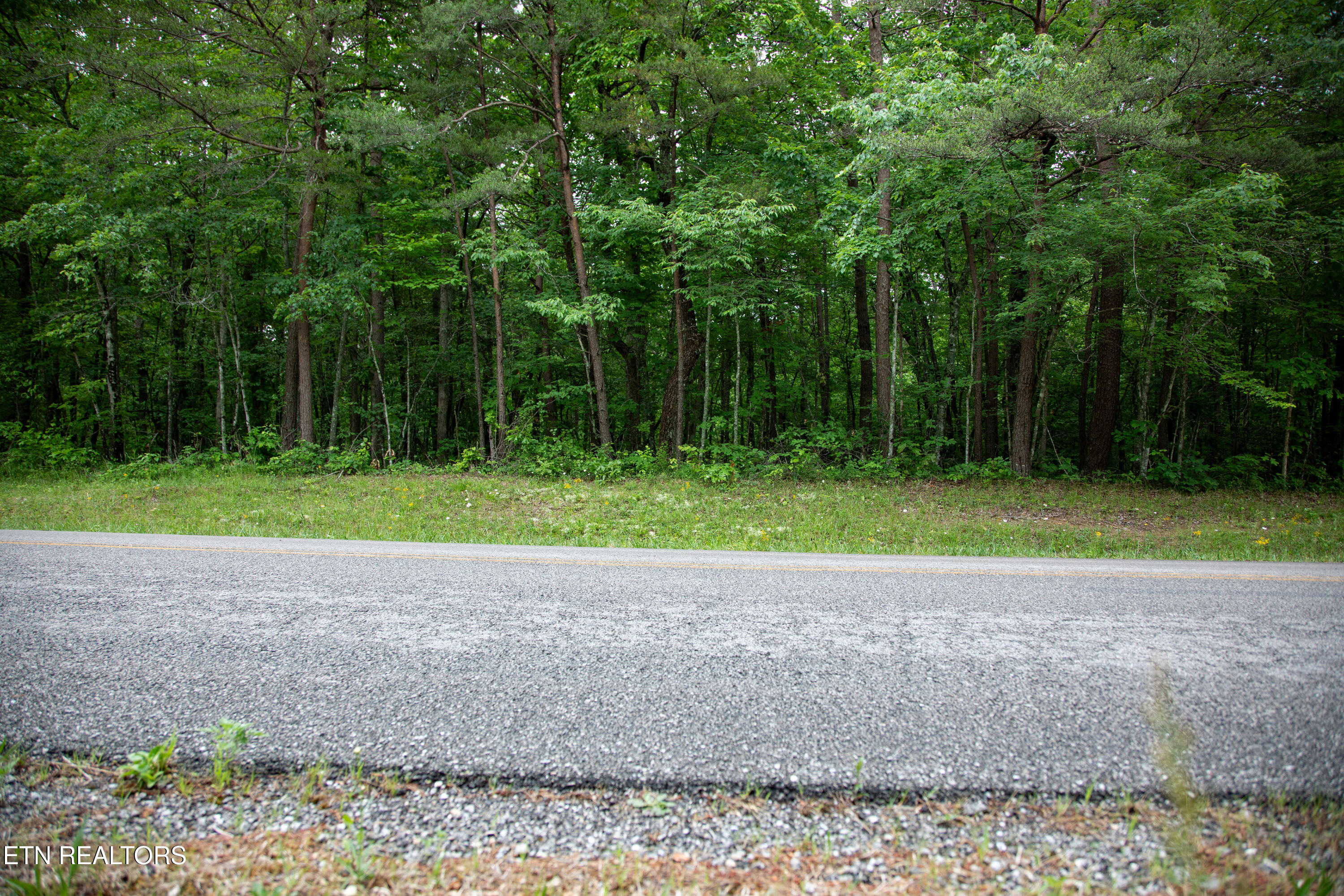 0 Lot 6 Cumberland Lakes Drive Monterey TN 38574