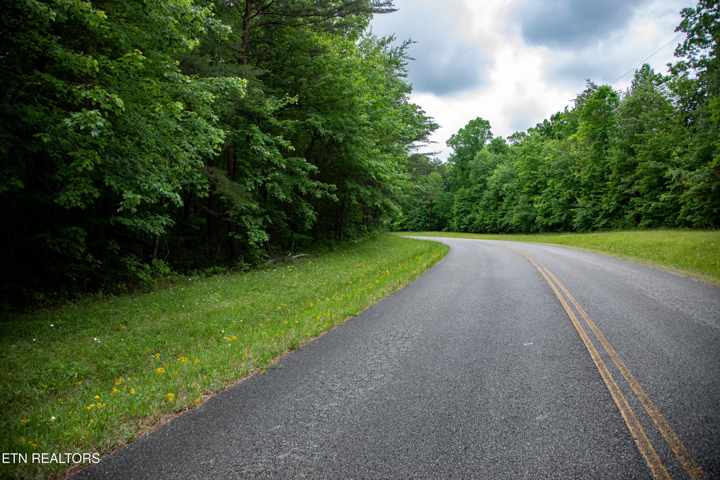 0 Lot 6 Cumberland Lakes Drive Monterey TN 38574