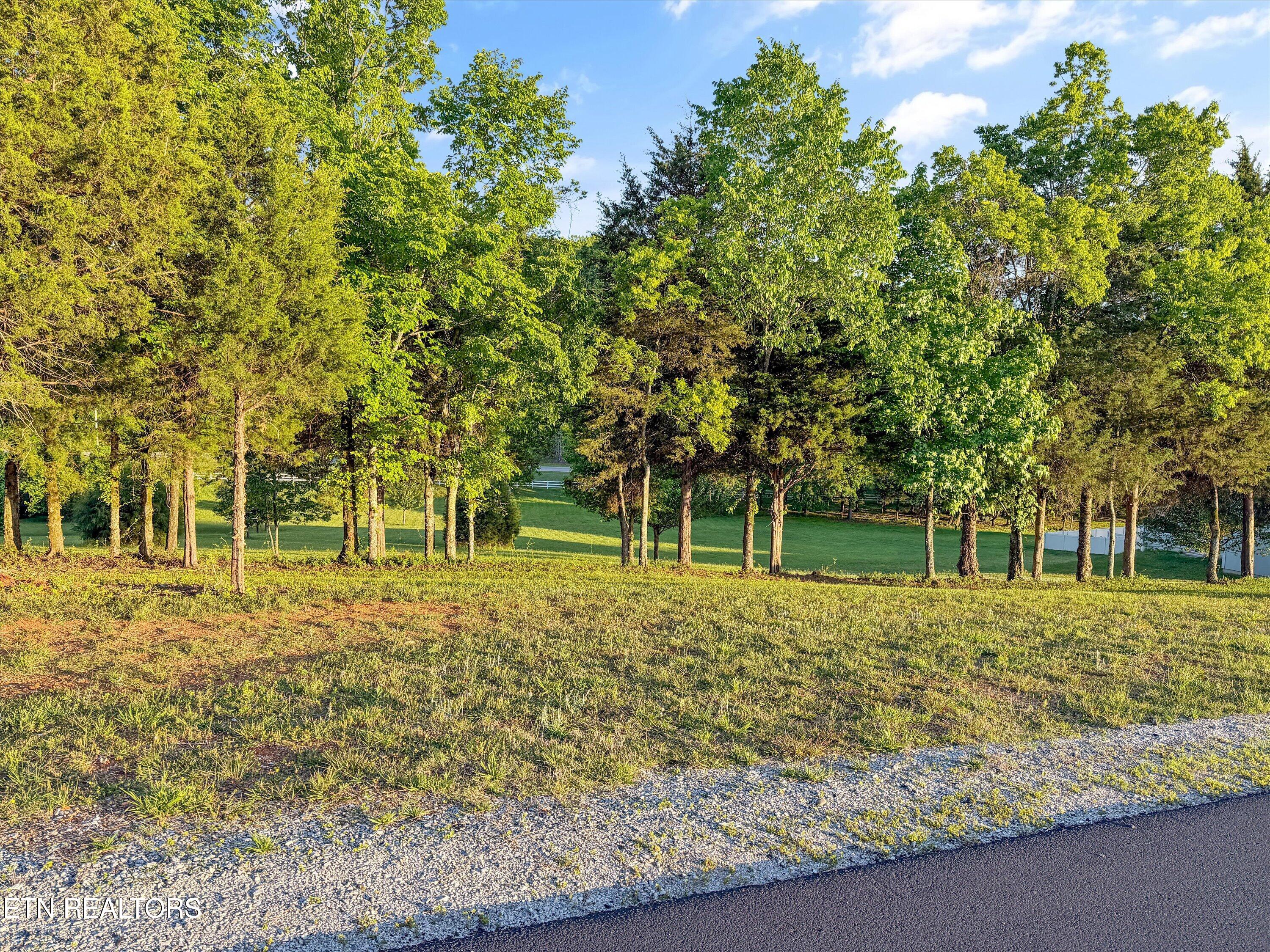113 Roaming Fawn Drive Rockwood TN 37854