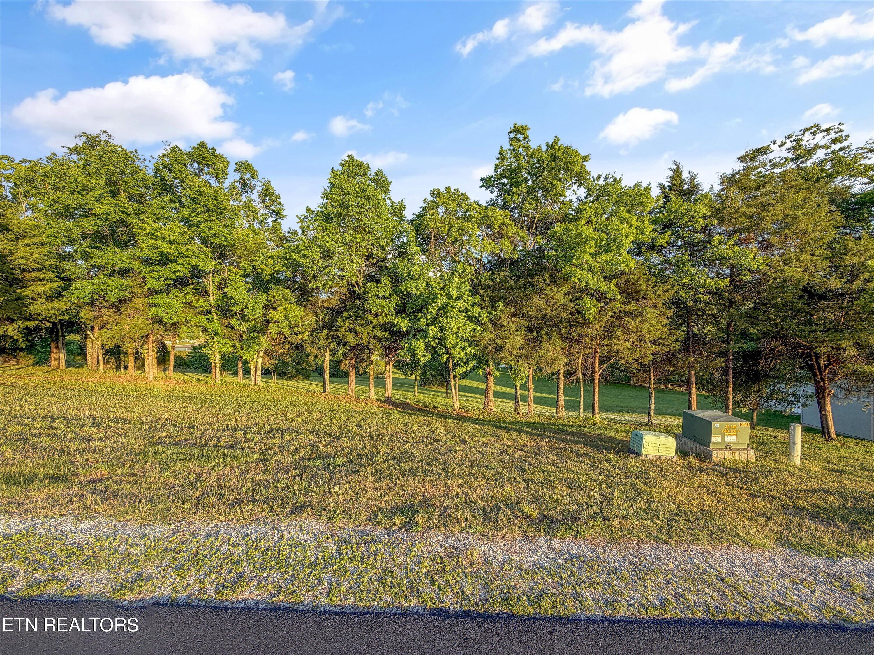 113 Roaming Fawn Drive Rockwood TN 37854