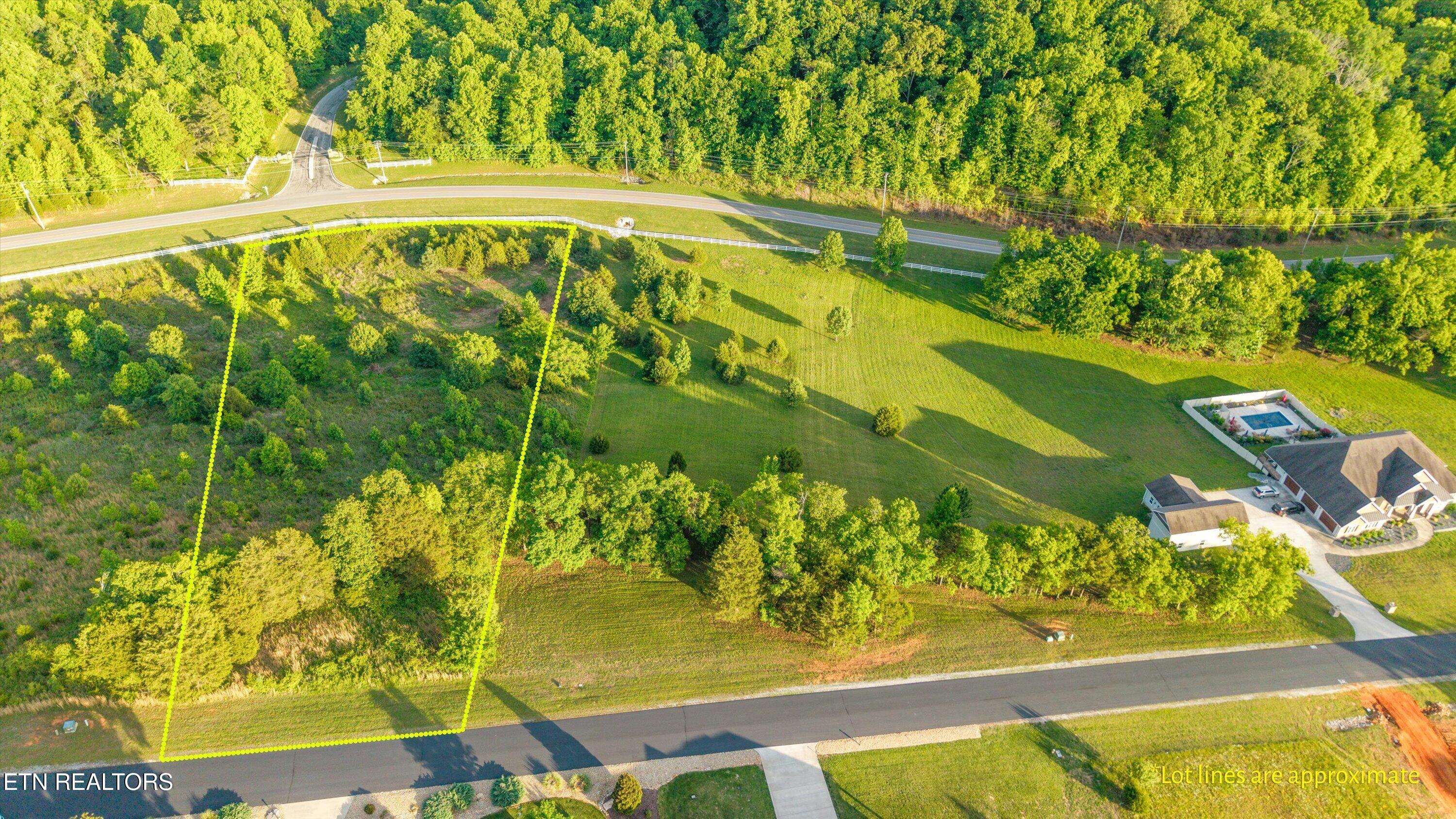 113 Roaming Fawn Drive Rockwood TN 37854