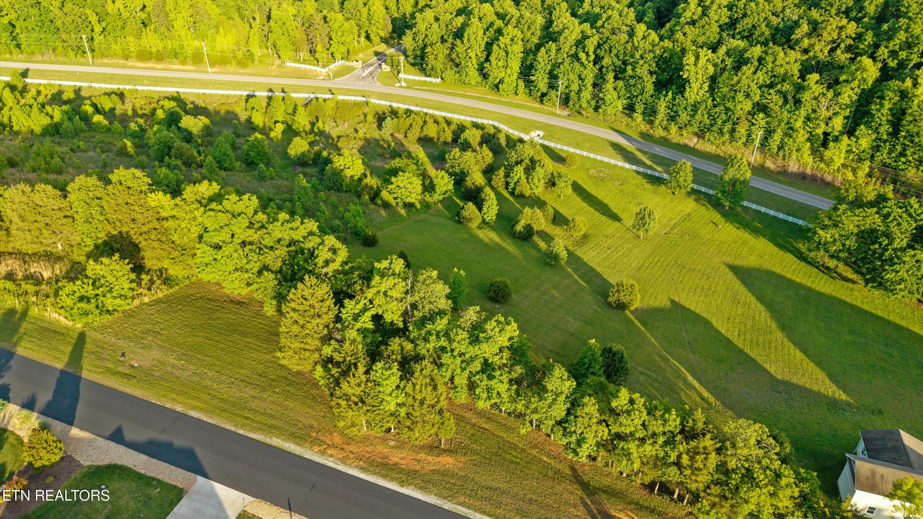 113 Roaming Fawn Drive Rockwood TN 37854
