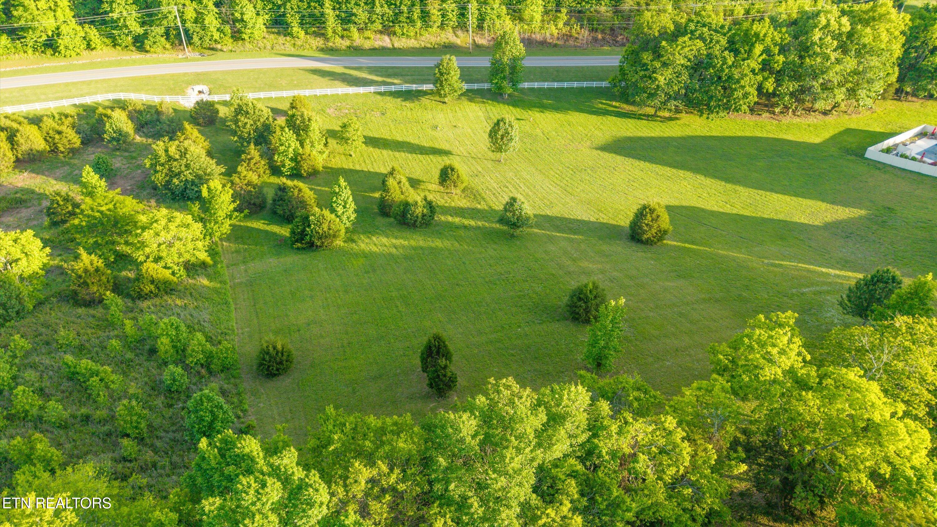 113 Roaming Fawn Drive Rockwood TN 37854