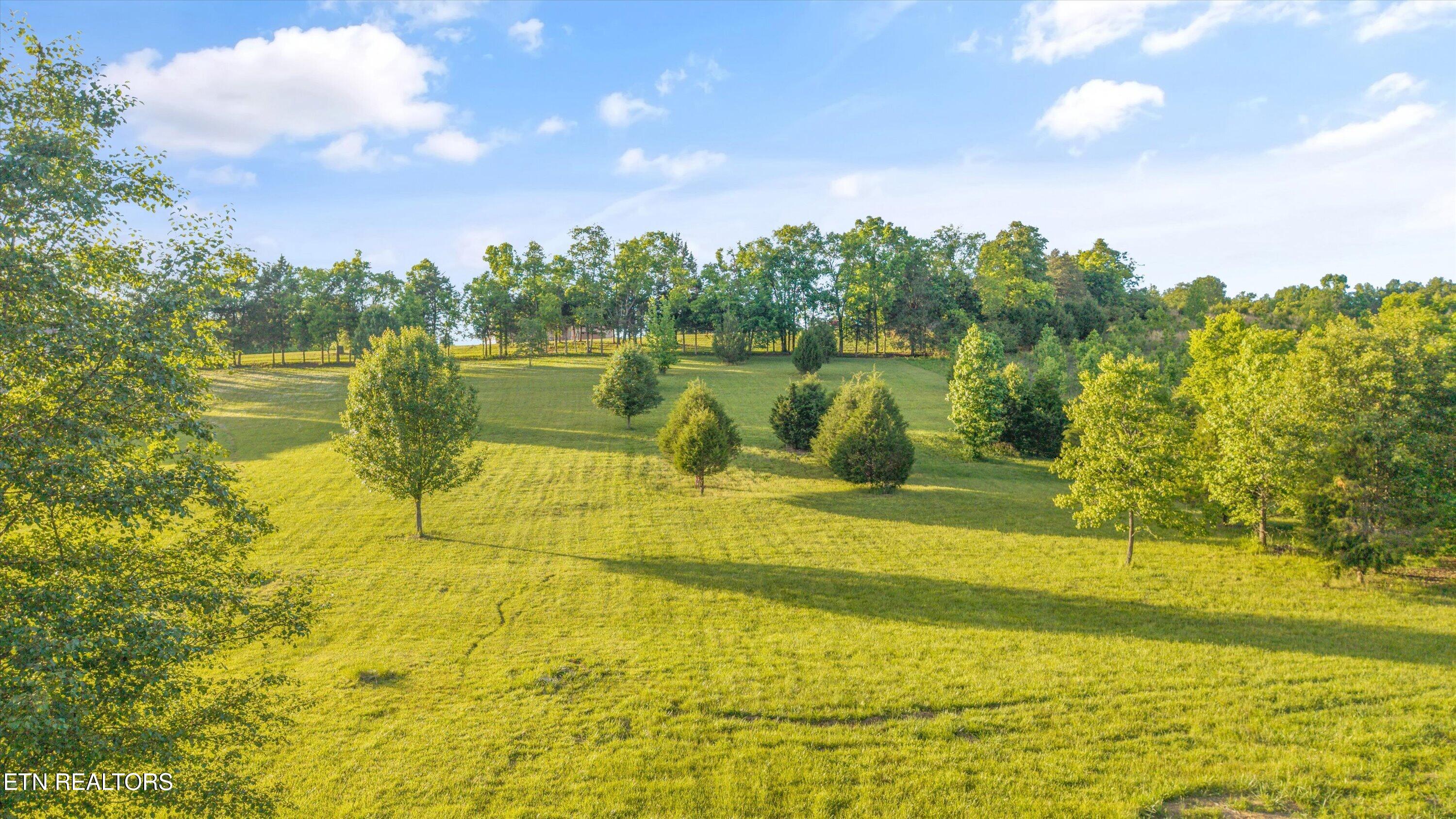 113 Roaming Fawn Drive Rockwood TN 37854
