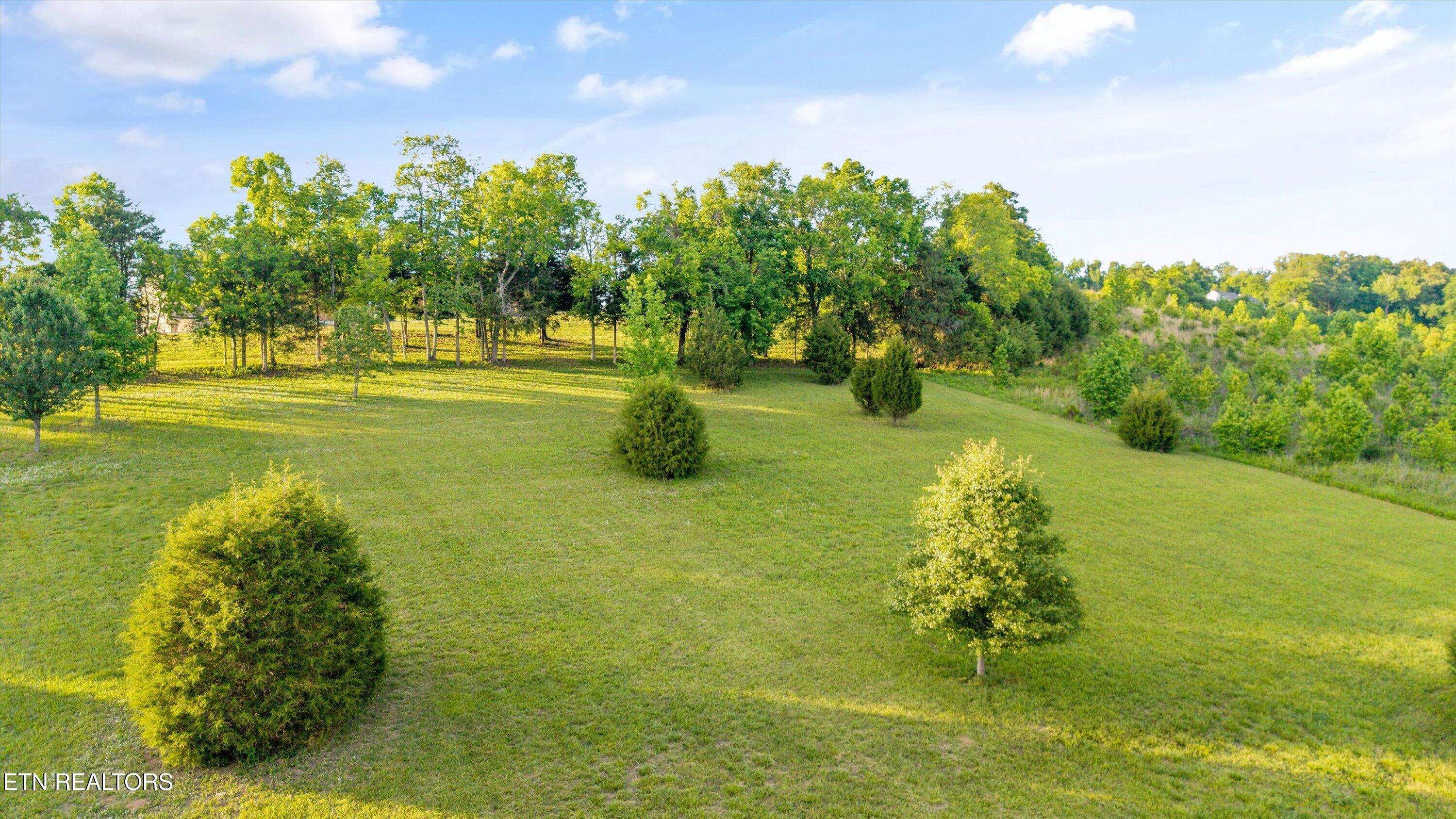 113 Roaming Fawn Drive Rockwood TN 37854