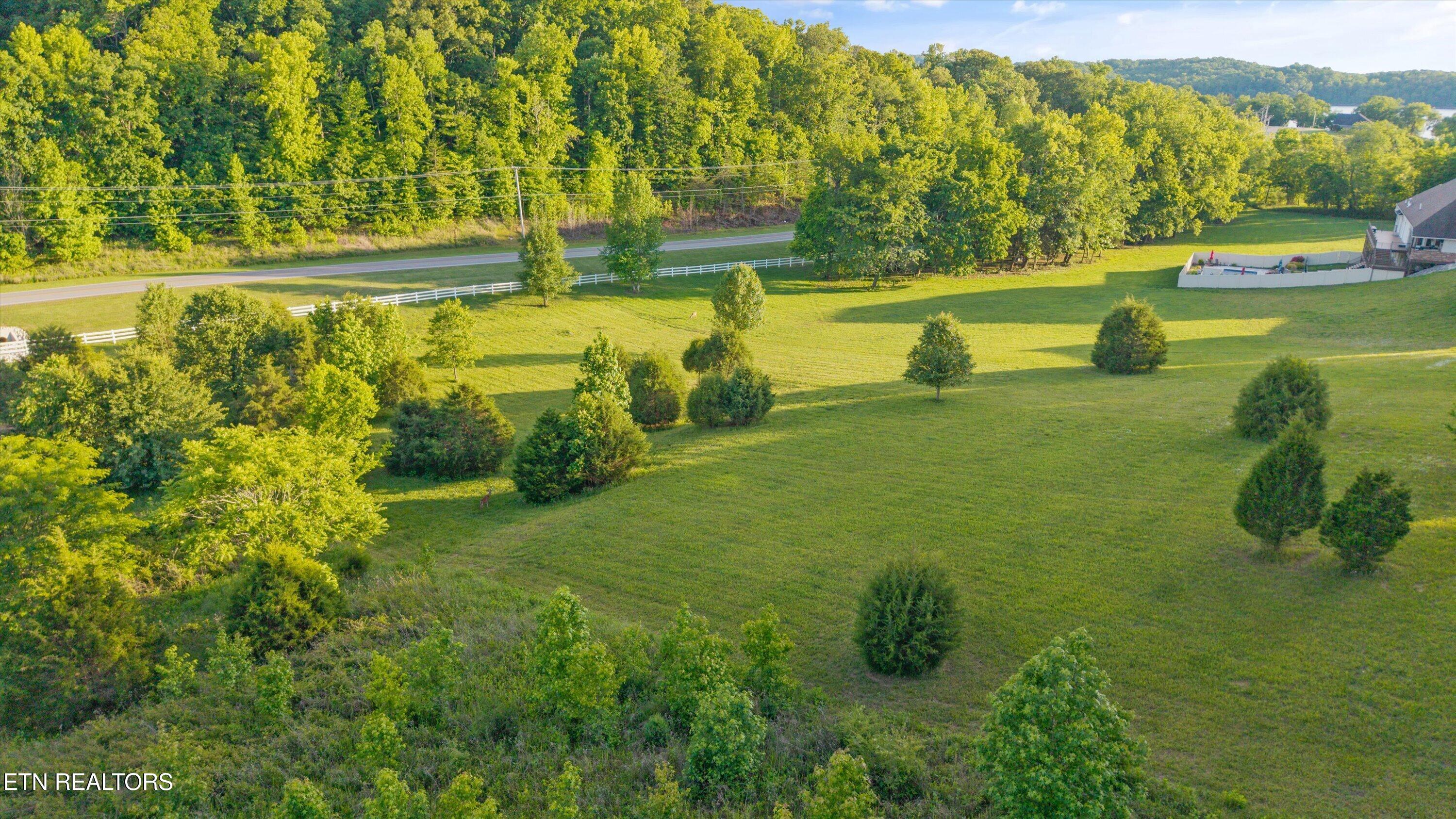 113 Roaming Fawn Drive Rockwood TN 37854