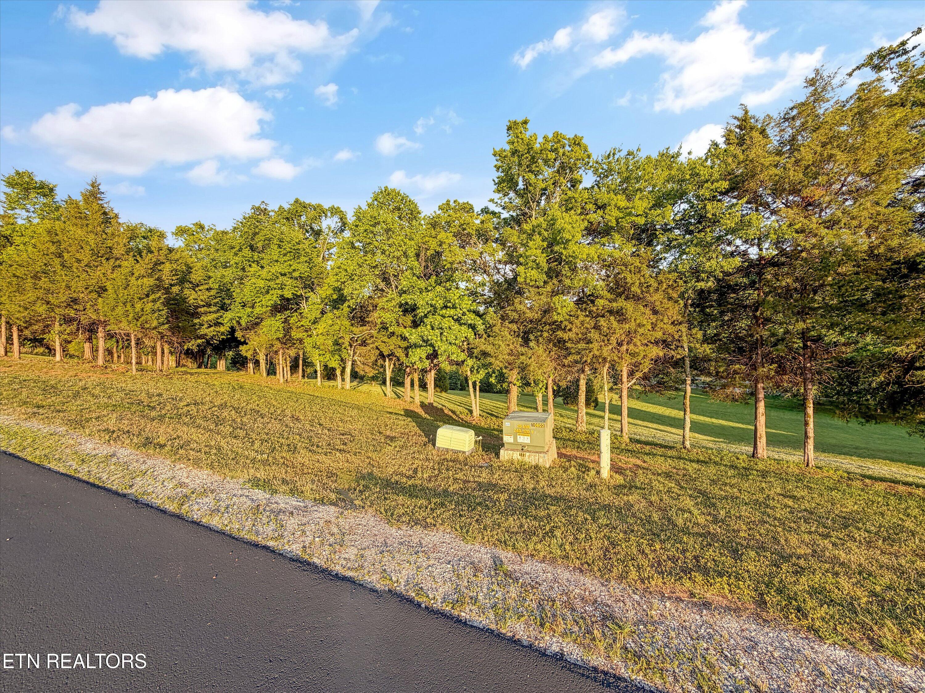 113 Roaming Fawn Drive Rockwood TN 37854
