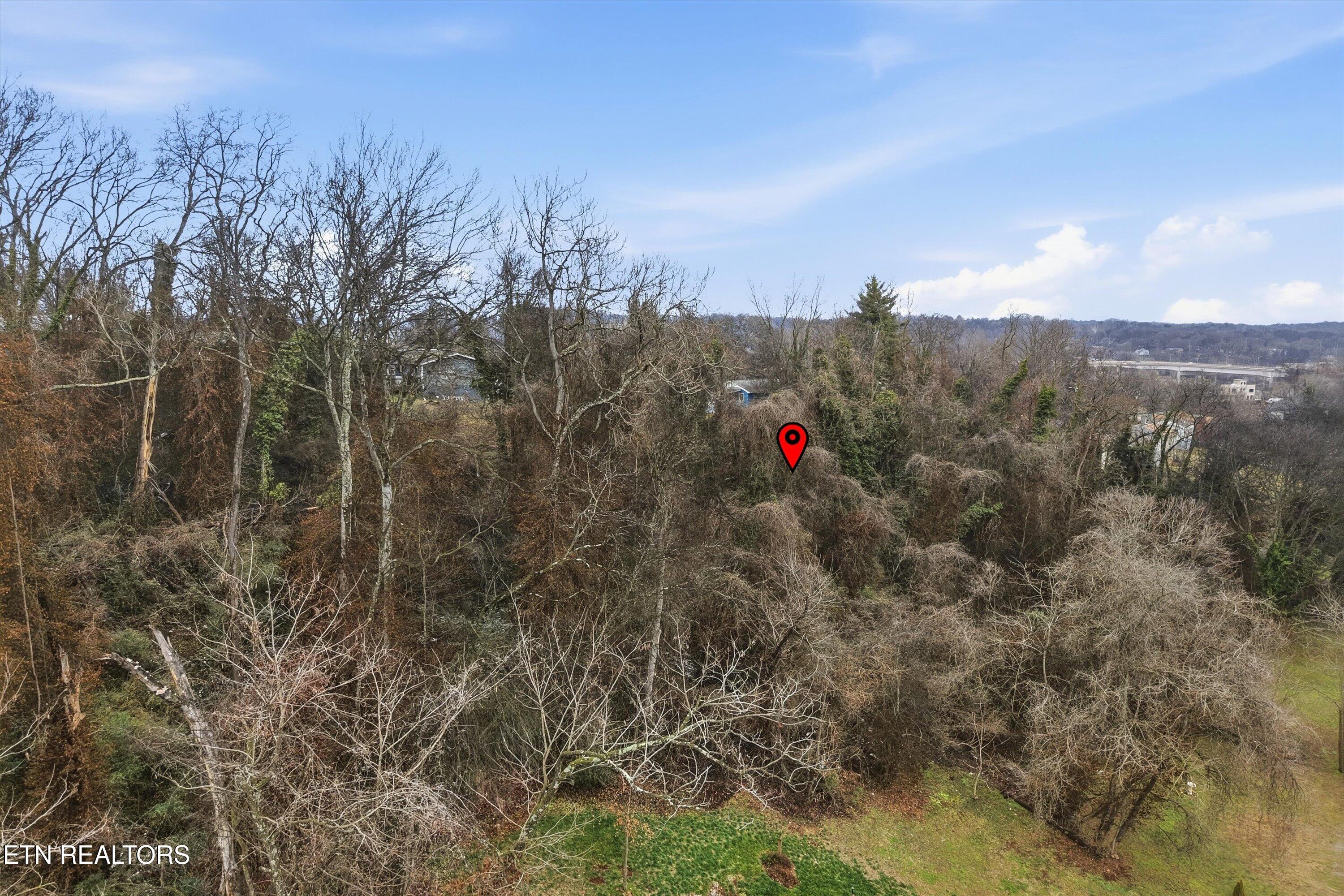 0 Irene Avenue Knoxville TN 37920