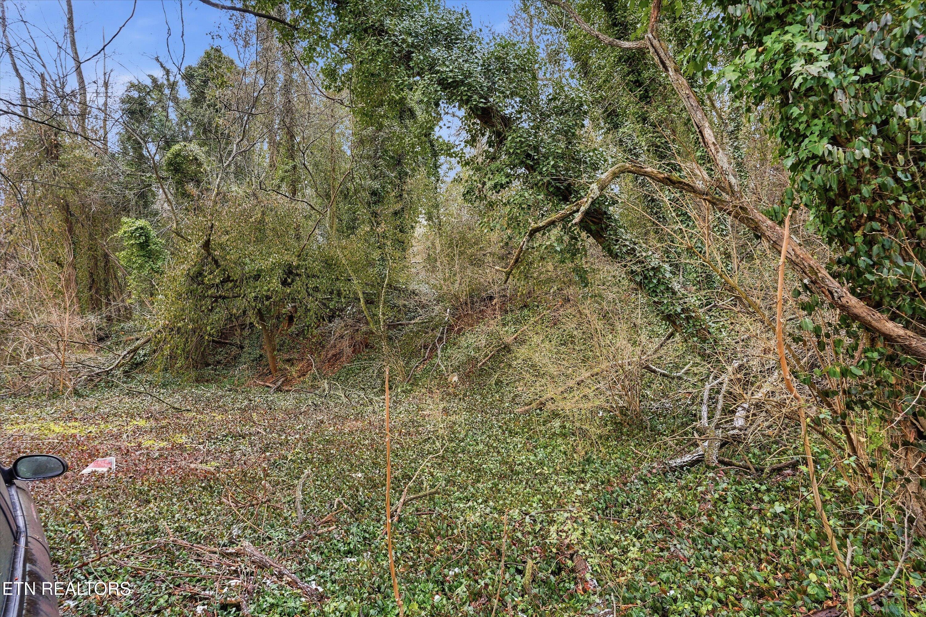 0 Irene Avenue Knoxville TN 37920