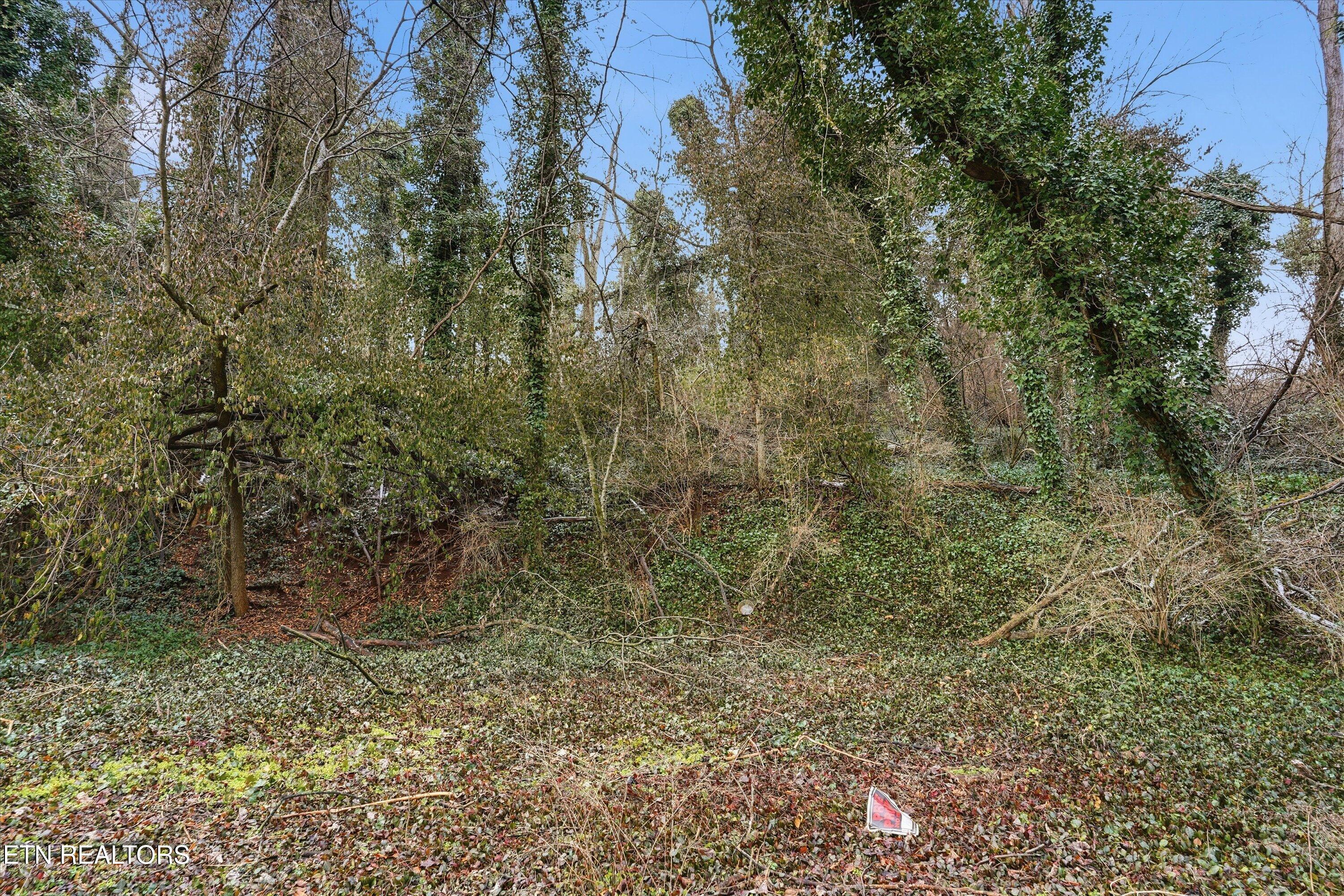 0 Irene Avenue Knoxville TN 37920