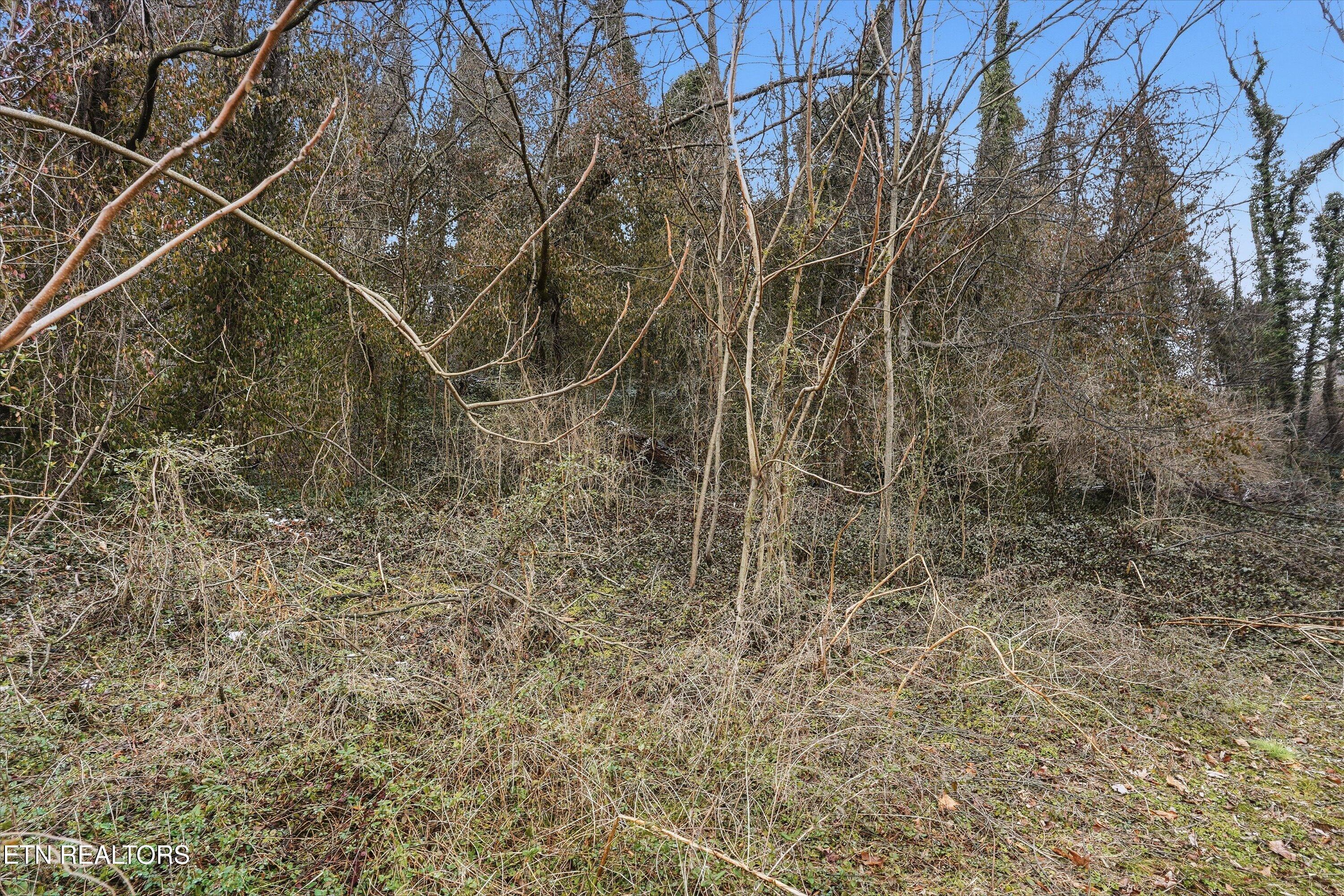 0 Irene Avenue Knoxville TN 37920