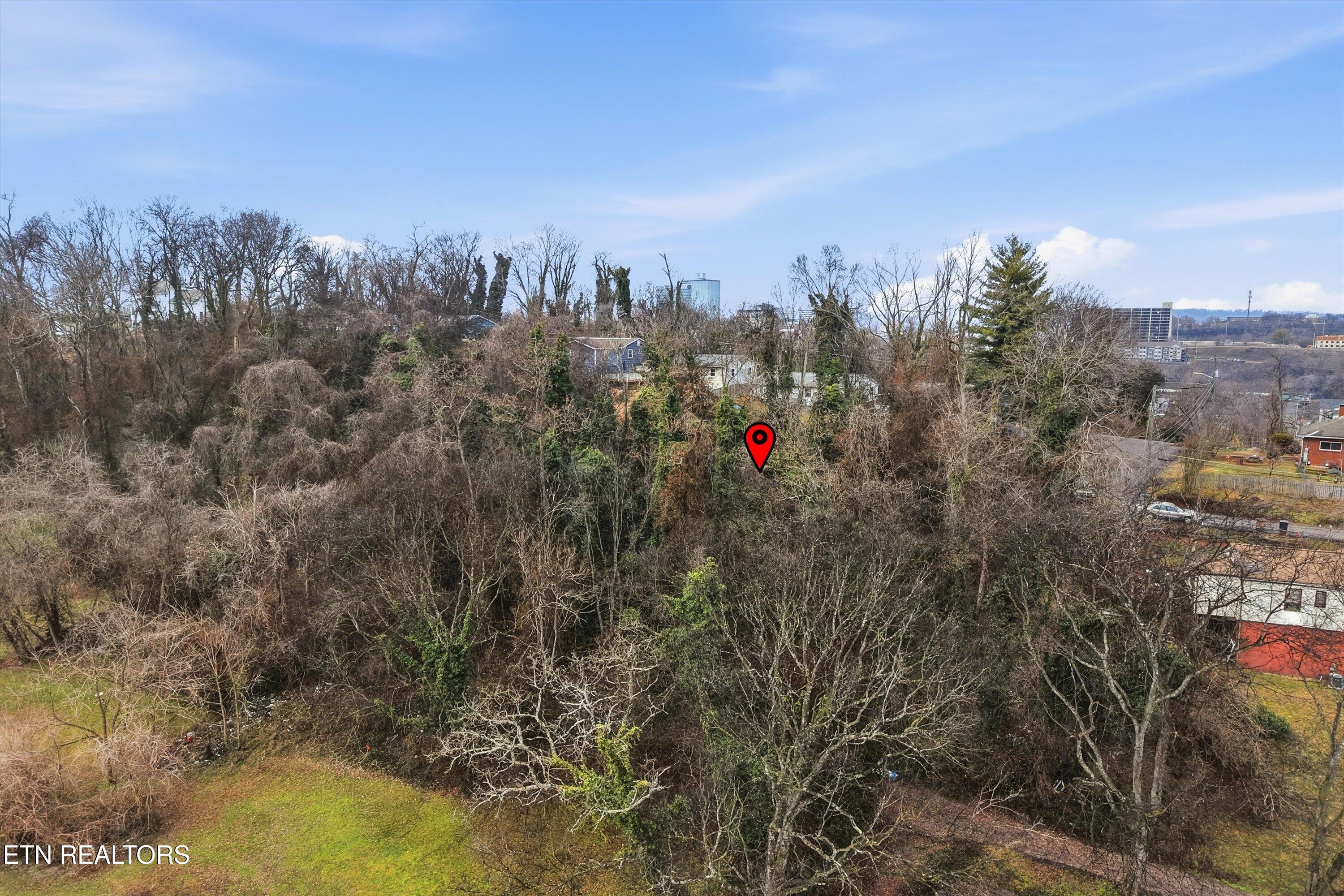 0 Irene Avenue Knoxville TN 37920