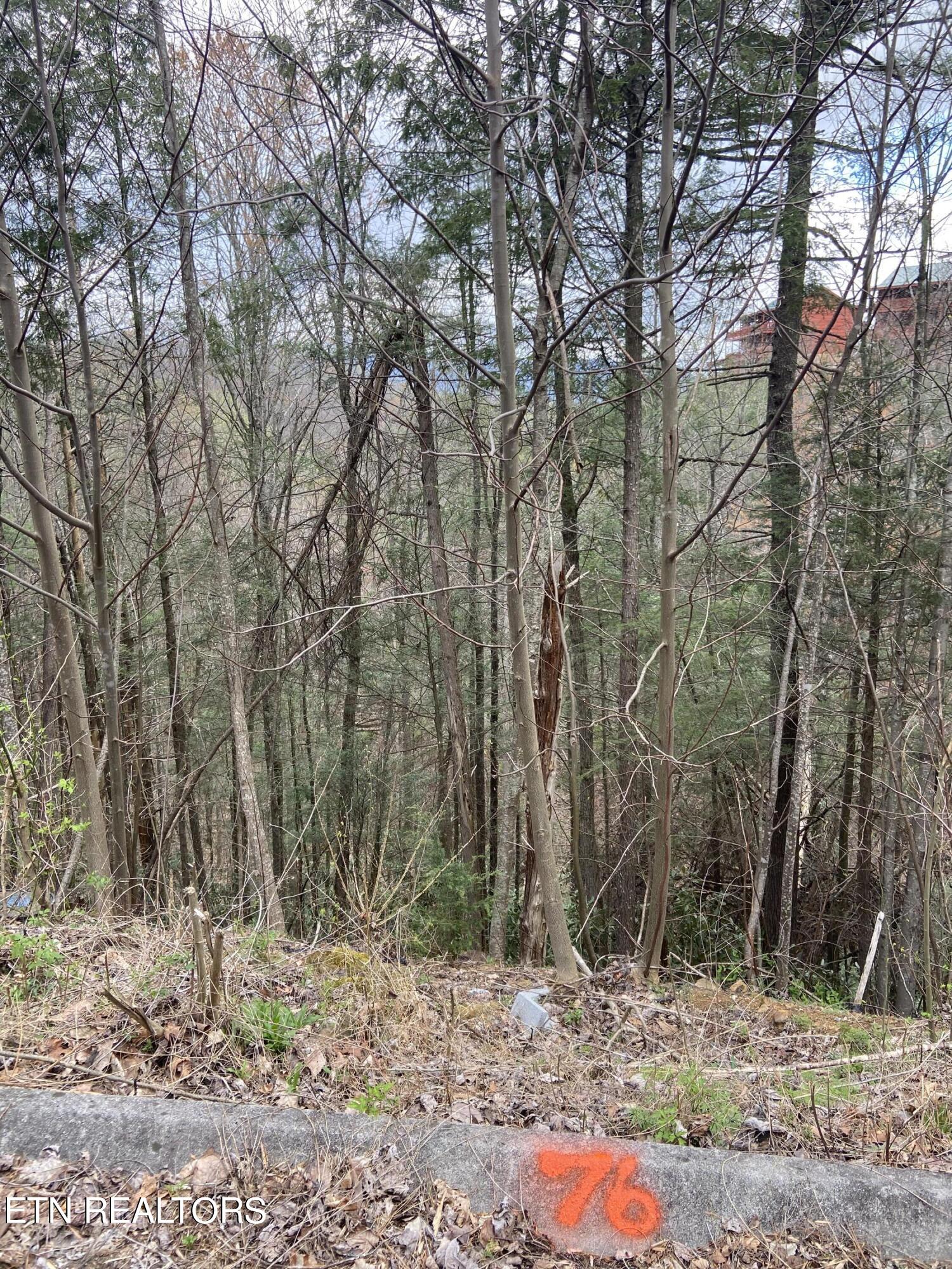 Lot 76 Smoky Ridge Way Sevierville TN 37862
