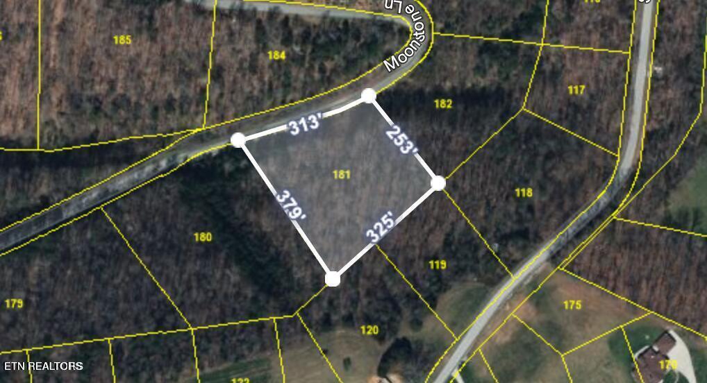 L-181 Moonstone Lane New Tazewell TN 37825
