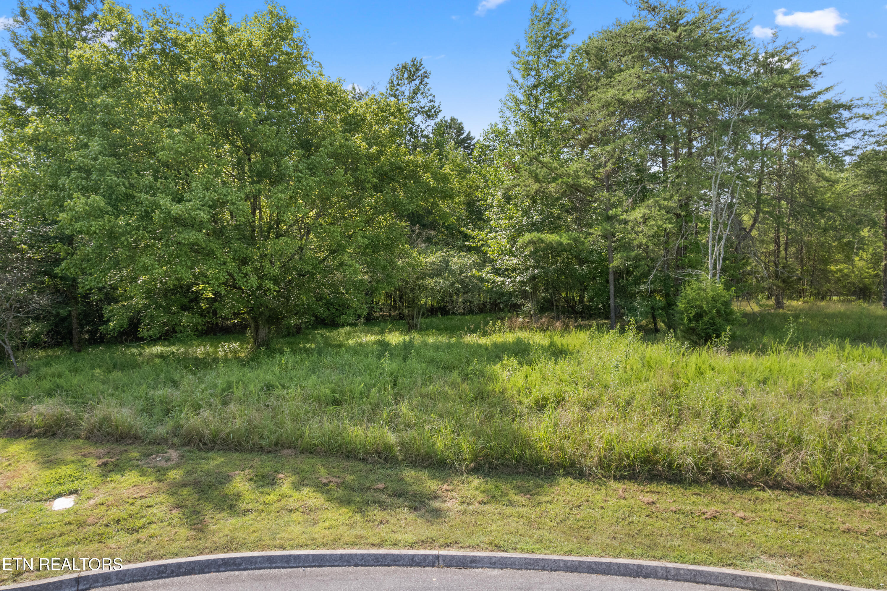 Creekside Drive Harriman TN 37748