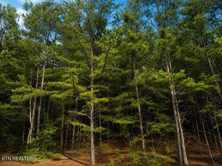 Lot 12 County Road 754 Riceville TN 37370